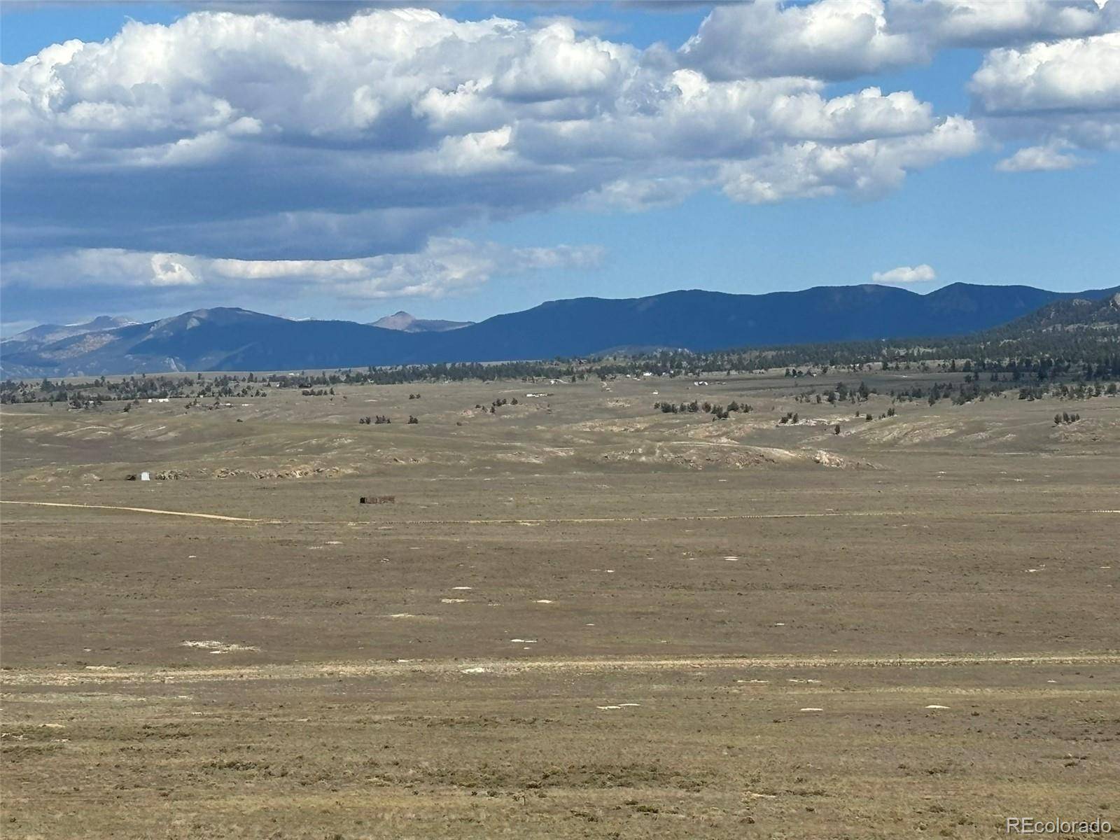 295 Oxford DR, Hartsel, CO 80449