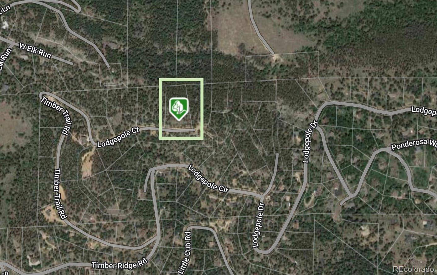 32593 Lodgepole DR, Evergreen, CO 80439