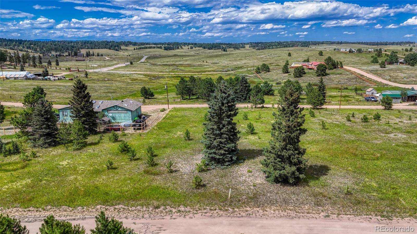 1129 Will Scarlet DR, Divide, CO 80814
