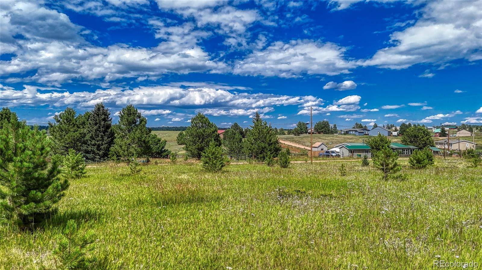1129 Will Scarlet DR, Divide, CO 80814