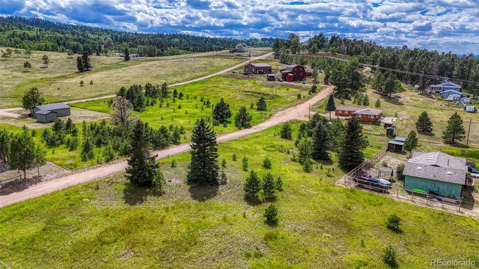 1129 Will Scarlet DR, Divide, CO 80814