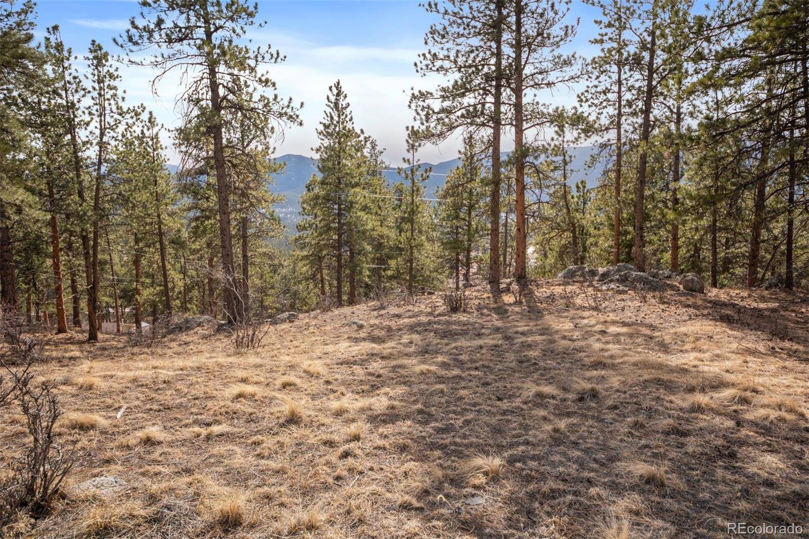 260 Bailey DR, Bailey, CO 80421