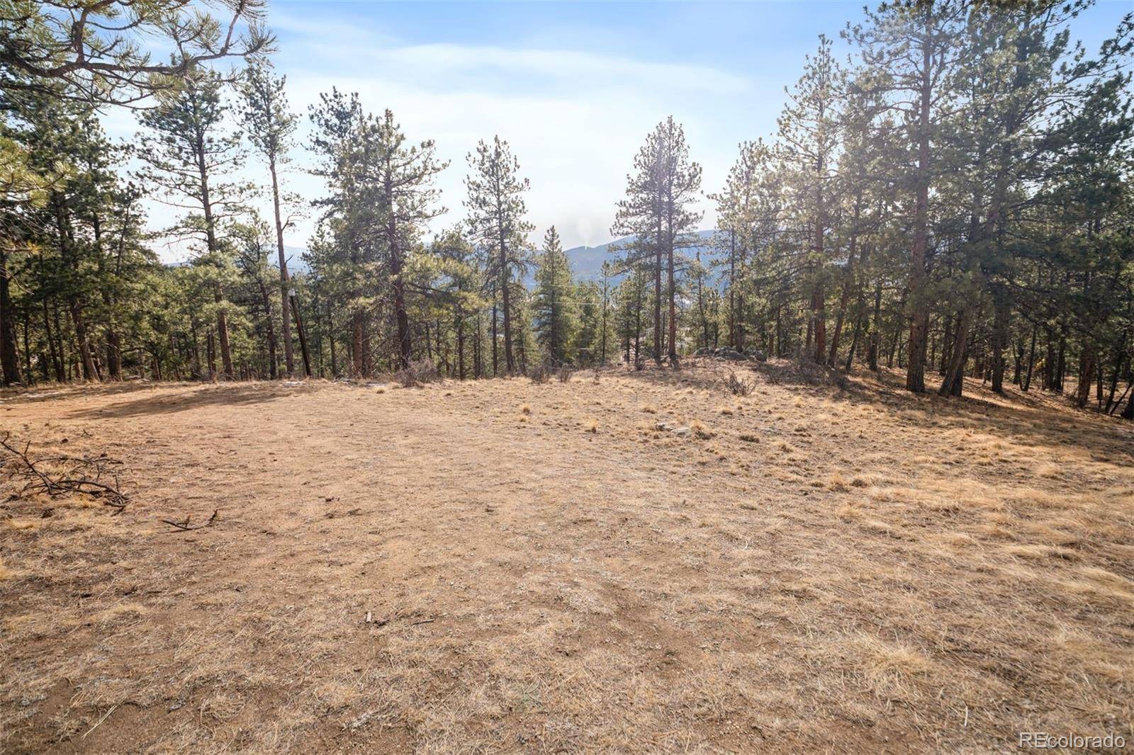 260 Bailey DR, Bailey, CO 80421