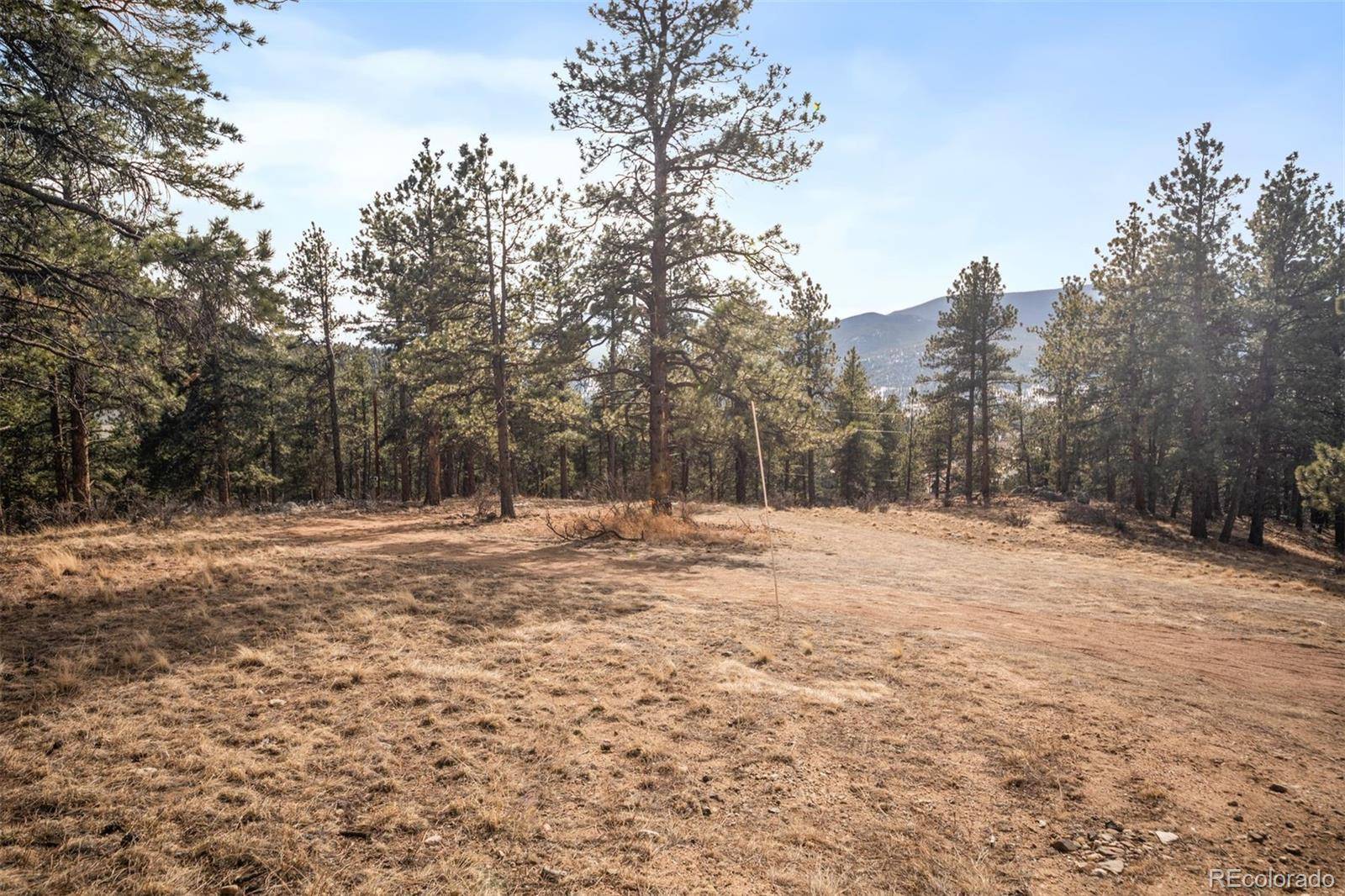 260 Bailey DR, Bailey, CO 80421
