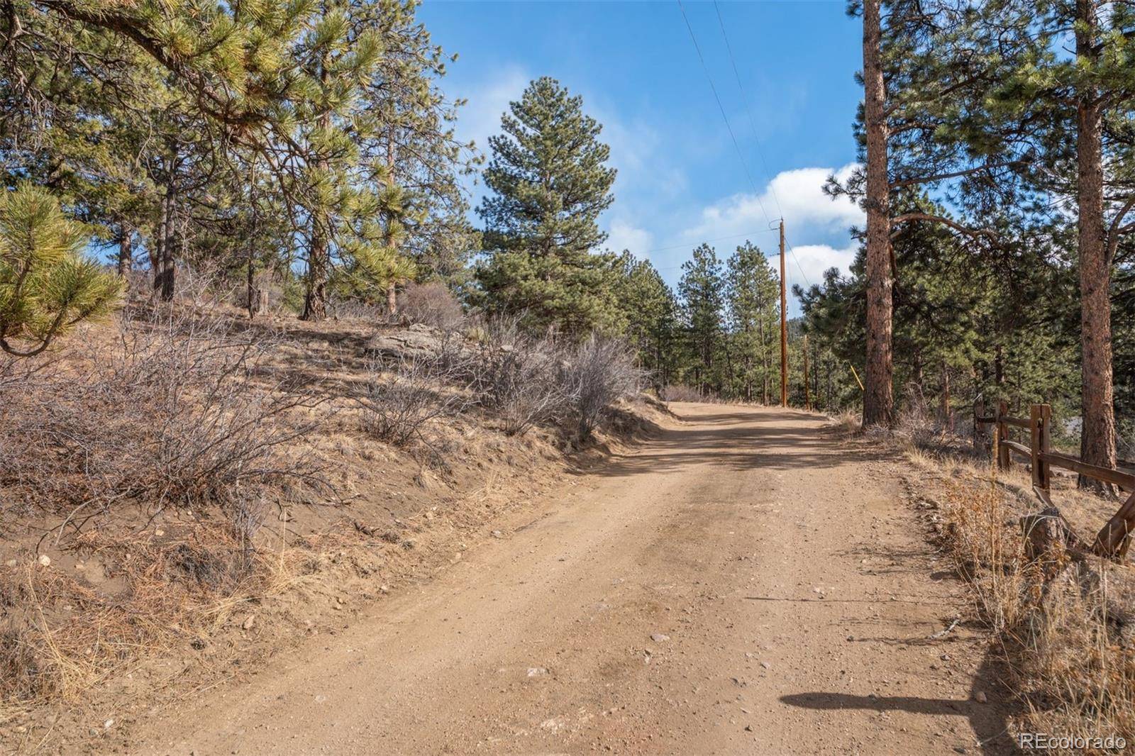 260 Bailey DR, Bailey, CO 80421