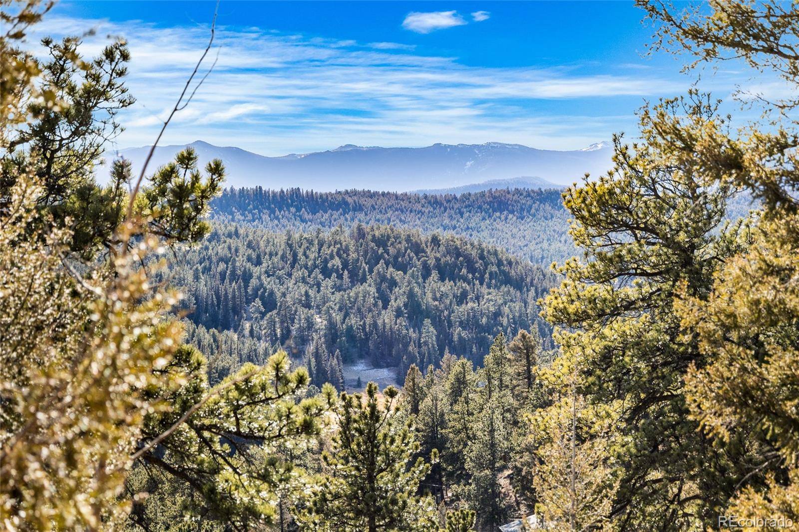 35441 Upper Aspen LN, Pine, CO 80470