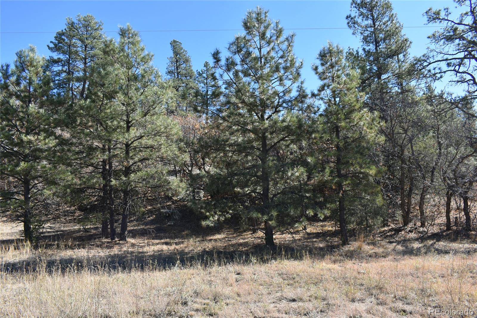 268-269 RANCHO LA GARITA FILING NO-8,, Weston, CO 81091