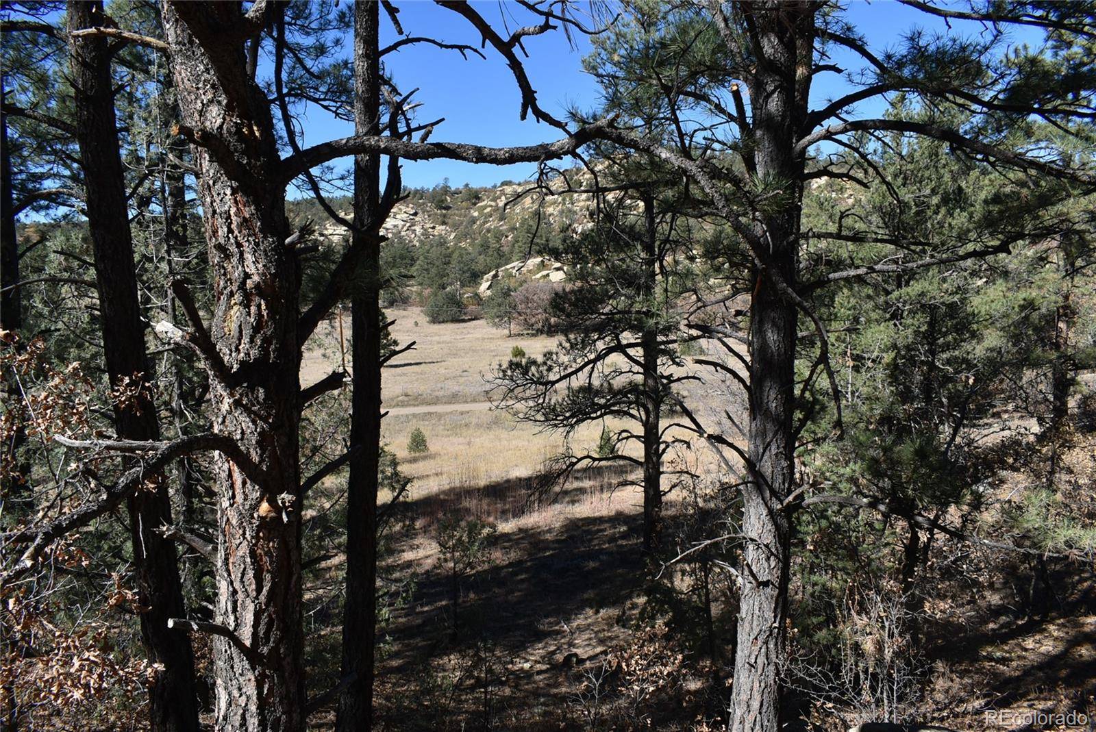 268-269 RANCHO LA GARITA FILING NO-8,, Weston, CO 81091