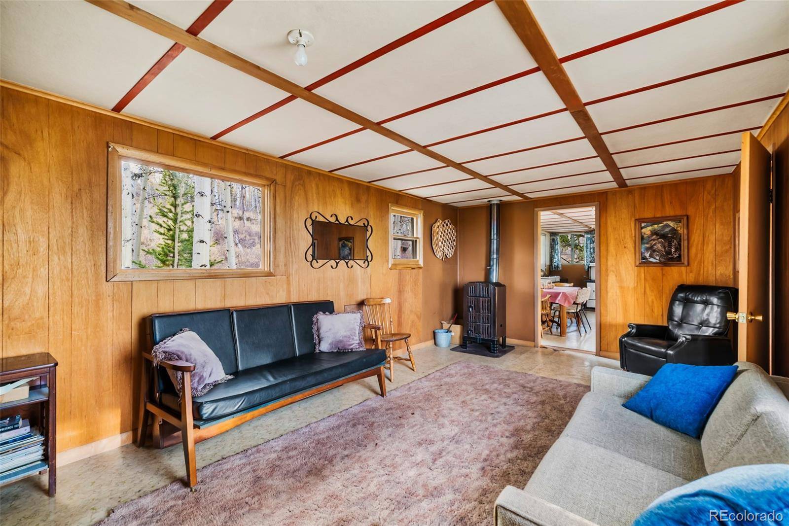 26 Meadow DR, Fairplay, CO 80440