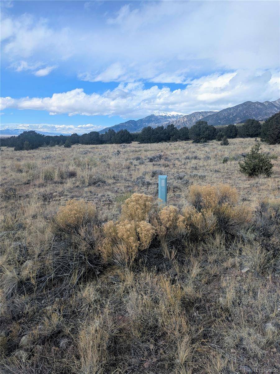 3288 Camino Del Rey, Crestone, CO 81131