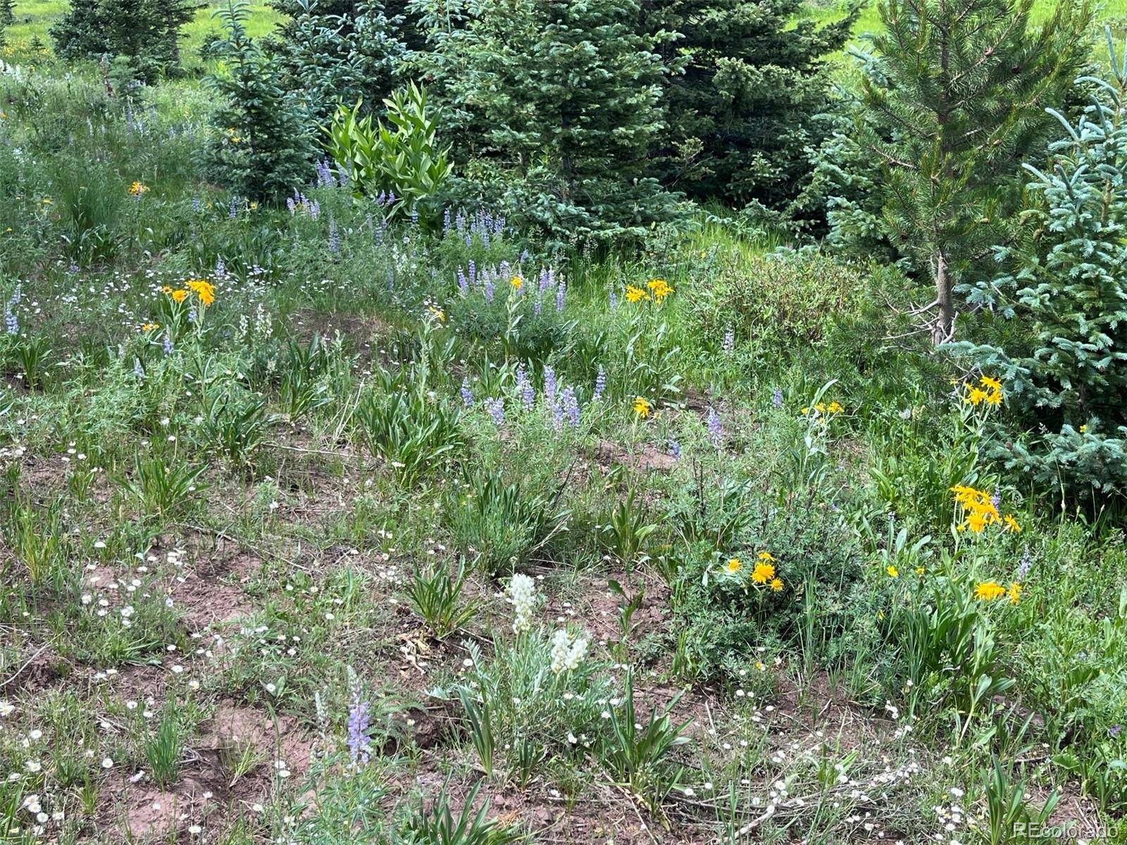 Lot 3091 Sterenson PL, Fort Garland, CO 81133
