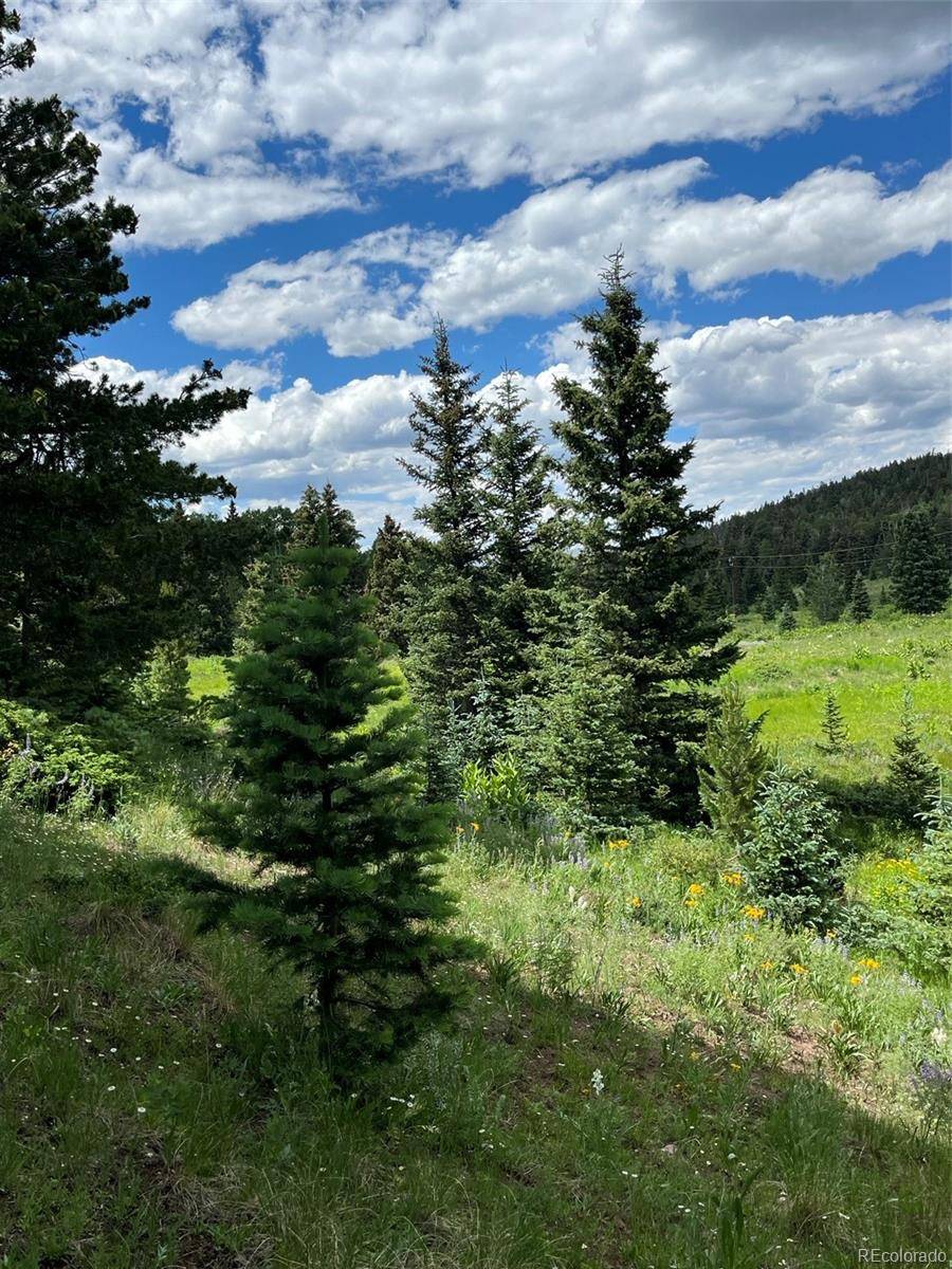 Lot 3091 Sterenson PL, Fort Garland, CO 81133