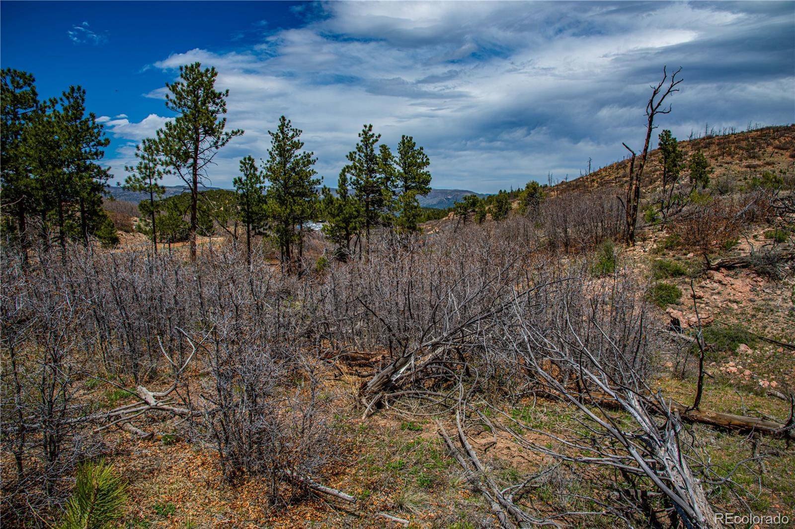 221 Cottonwood DR, Cotopaxi, CO 81223