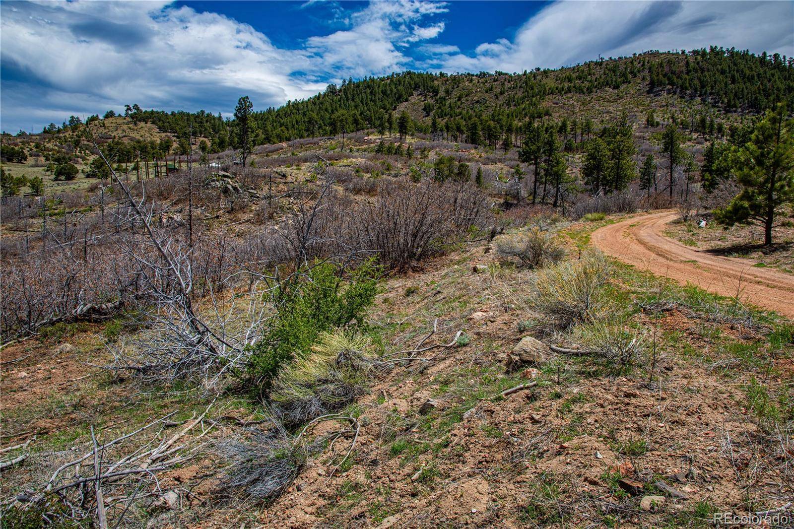 221 Cottonwood DR, Cotopaxi, CO 81223
