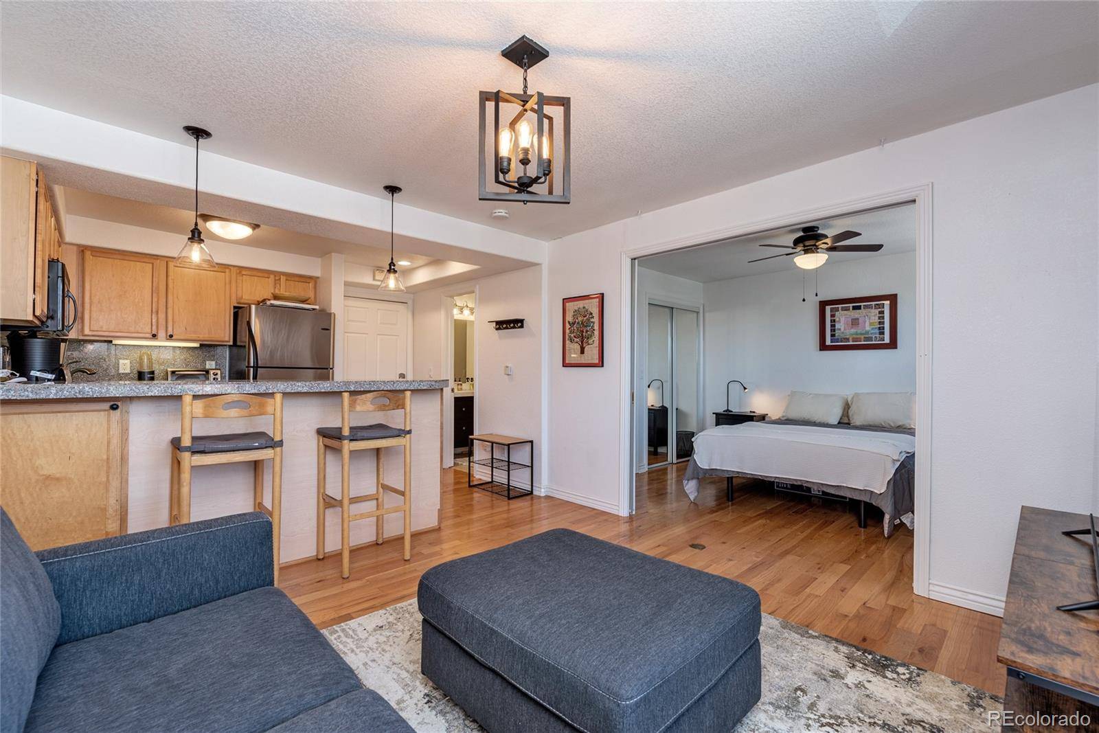 1833 N Williams ST #504, Denver, CO 80218
