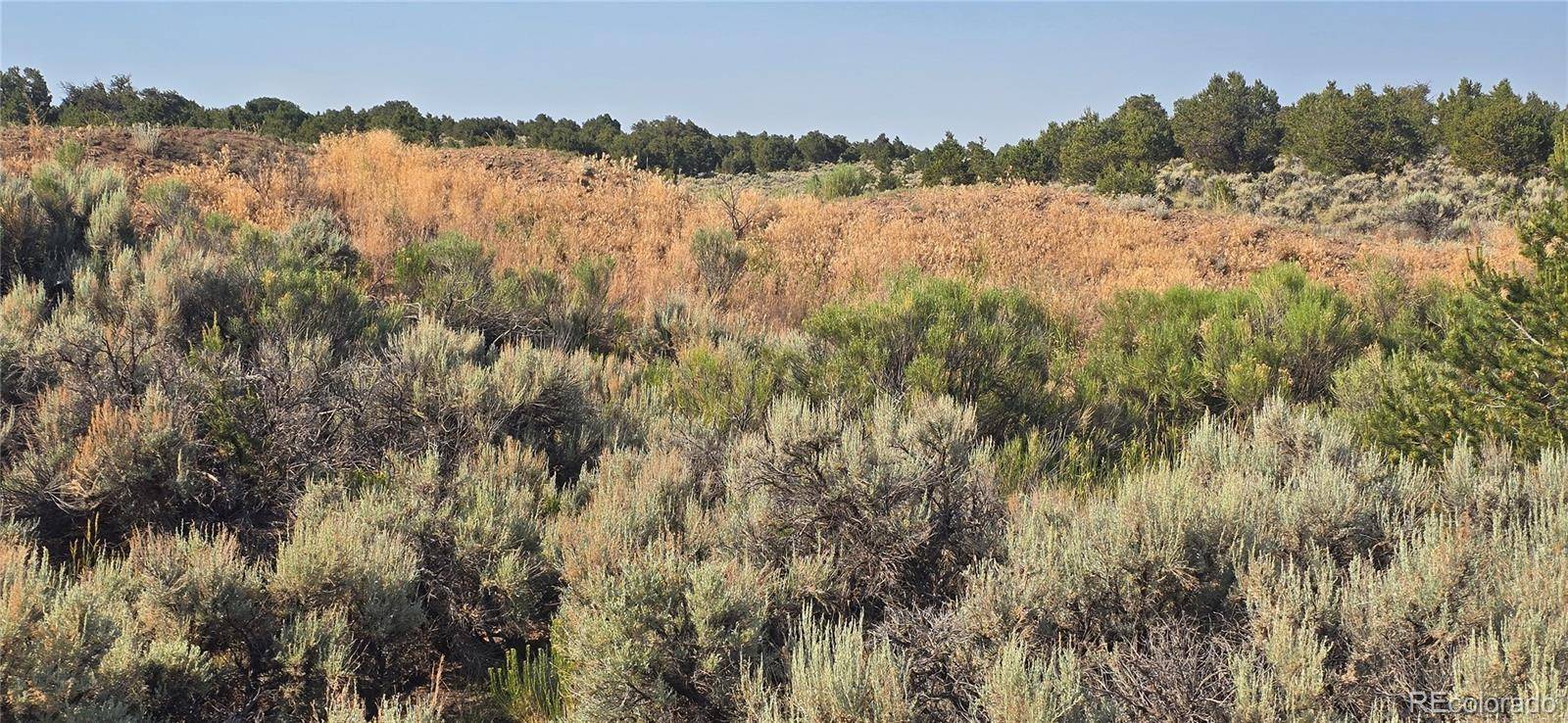 Lot 4075 Tiernan RD, Fort Garland, CO 81133