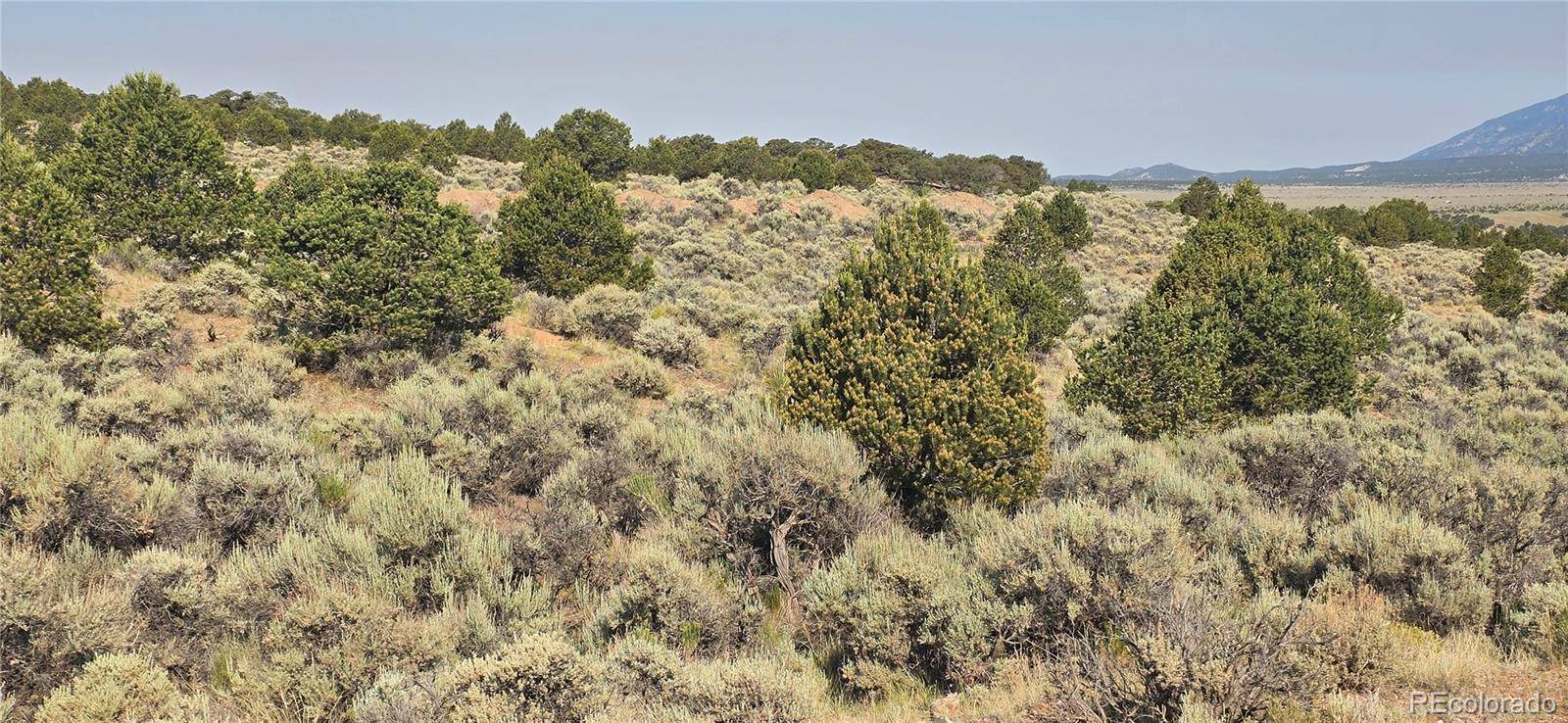 Lot 4075 Tiernan RD, Fort Garland, CO 81133