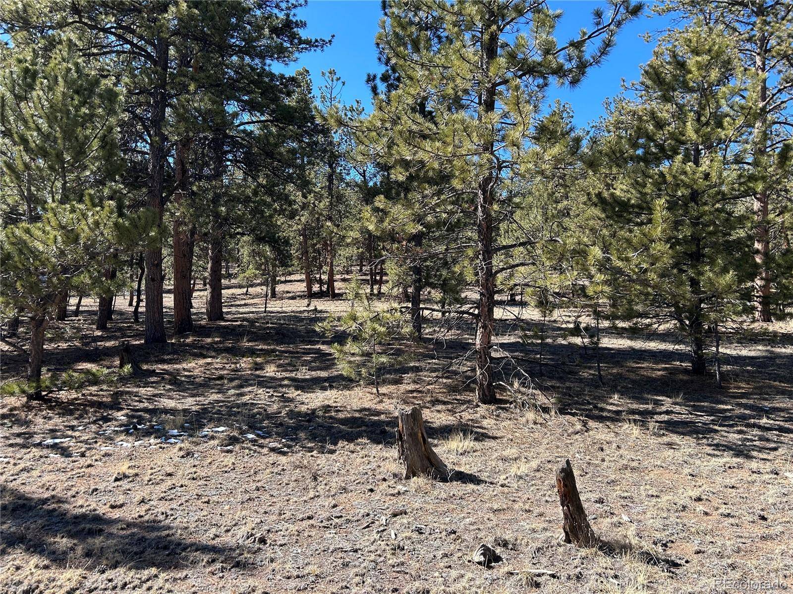 147 Haystack RD, Hartsel, CO 80449