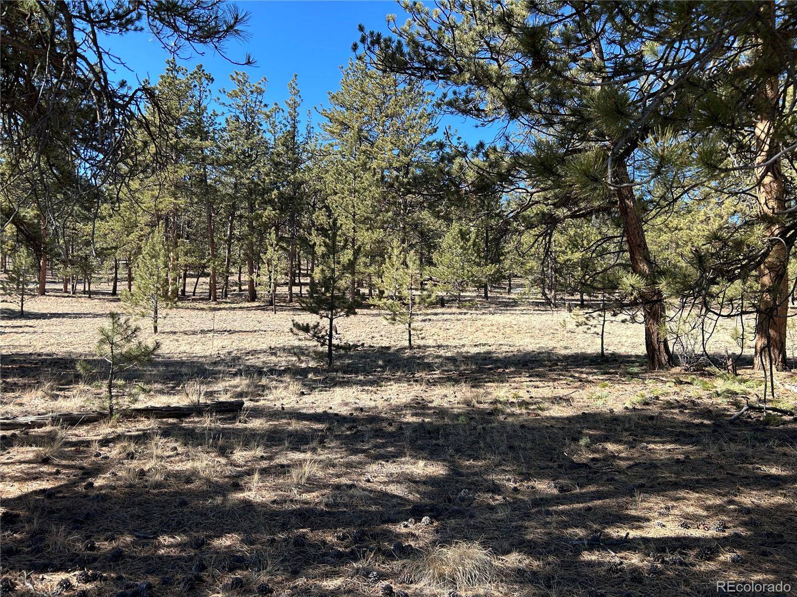147 Haystack RD, Hartsel, CO 80449
