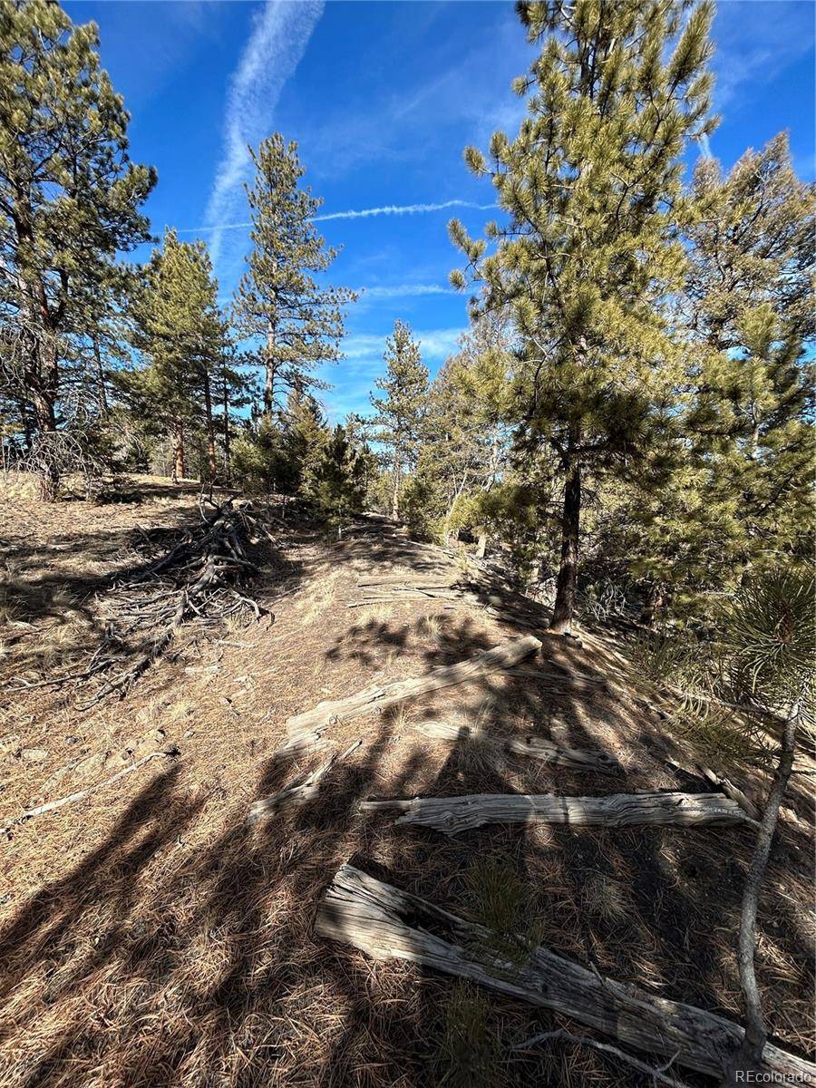 4376 Campfire RD, Hartsel, CO 80449