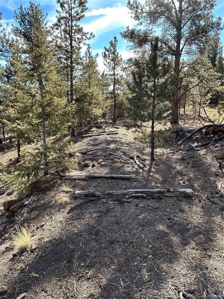 4376 Campfire RD, Hartsel, CO 80449