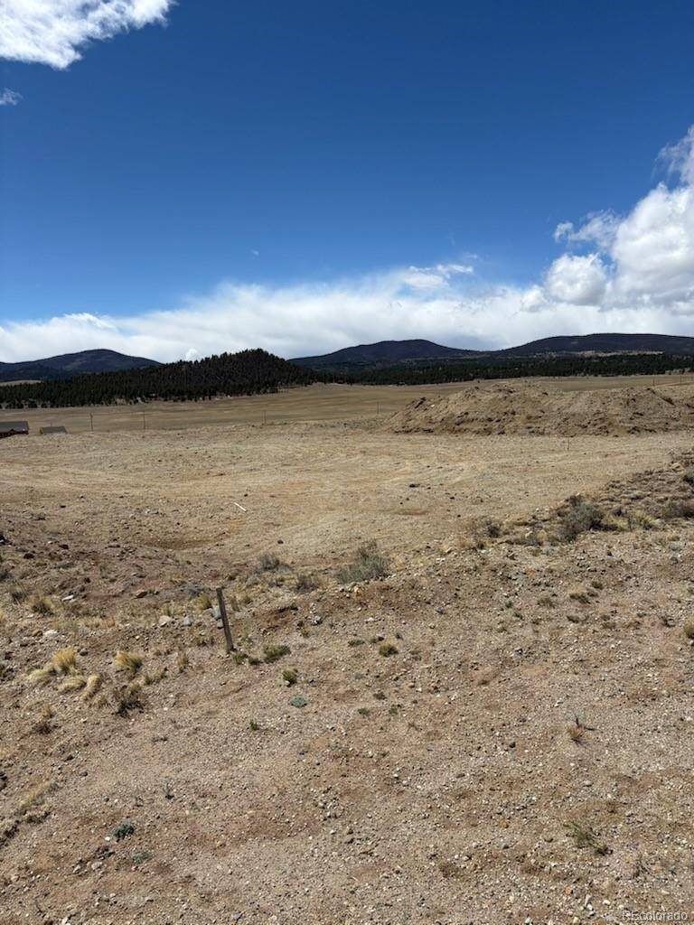69 Buggy CT, Hartsel, CO 80449