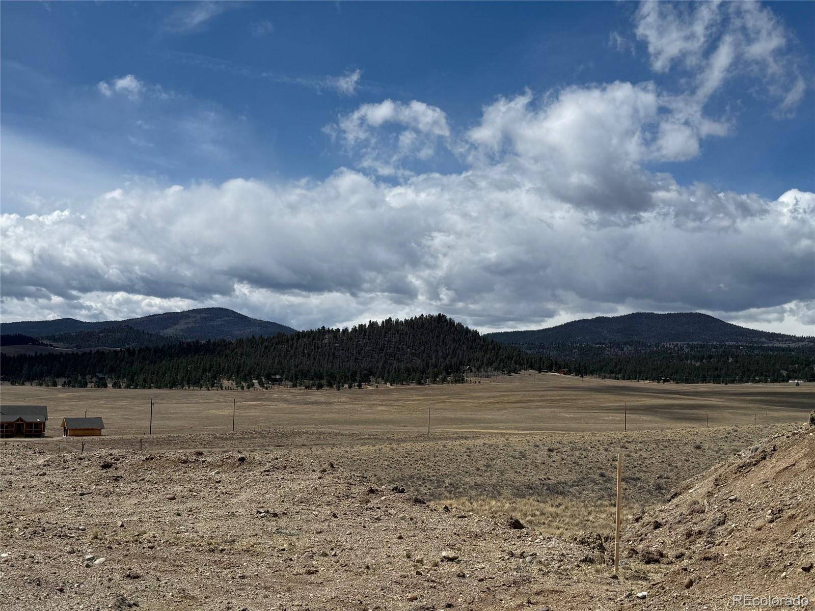 69 Buggy CT, Hartsel, CO 80449