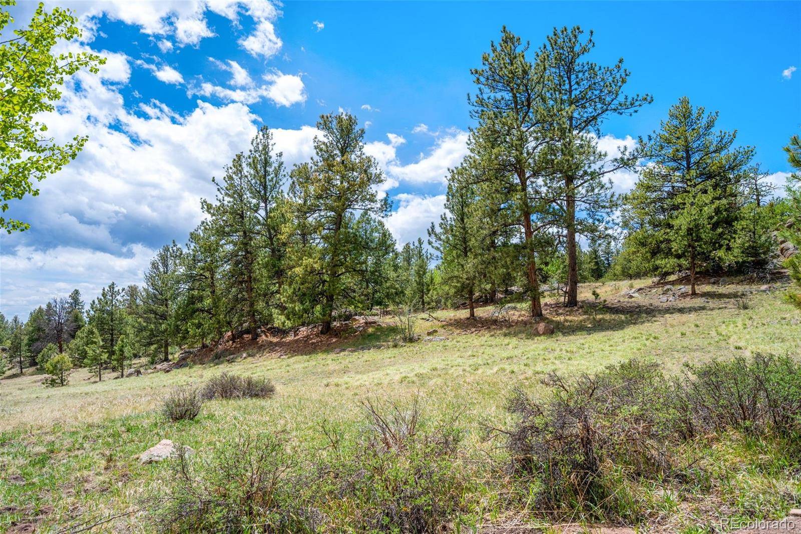 527 Plateau DR, Guffey, CO 80820