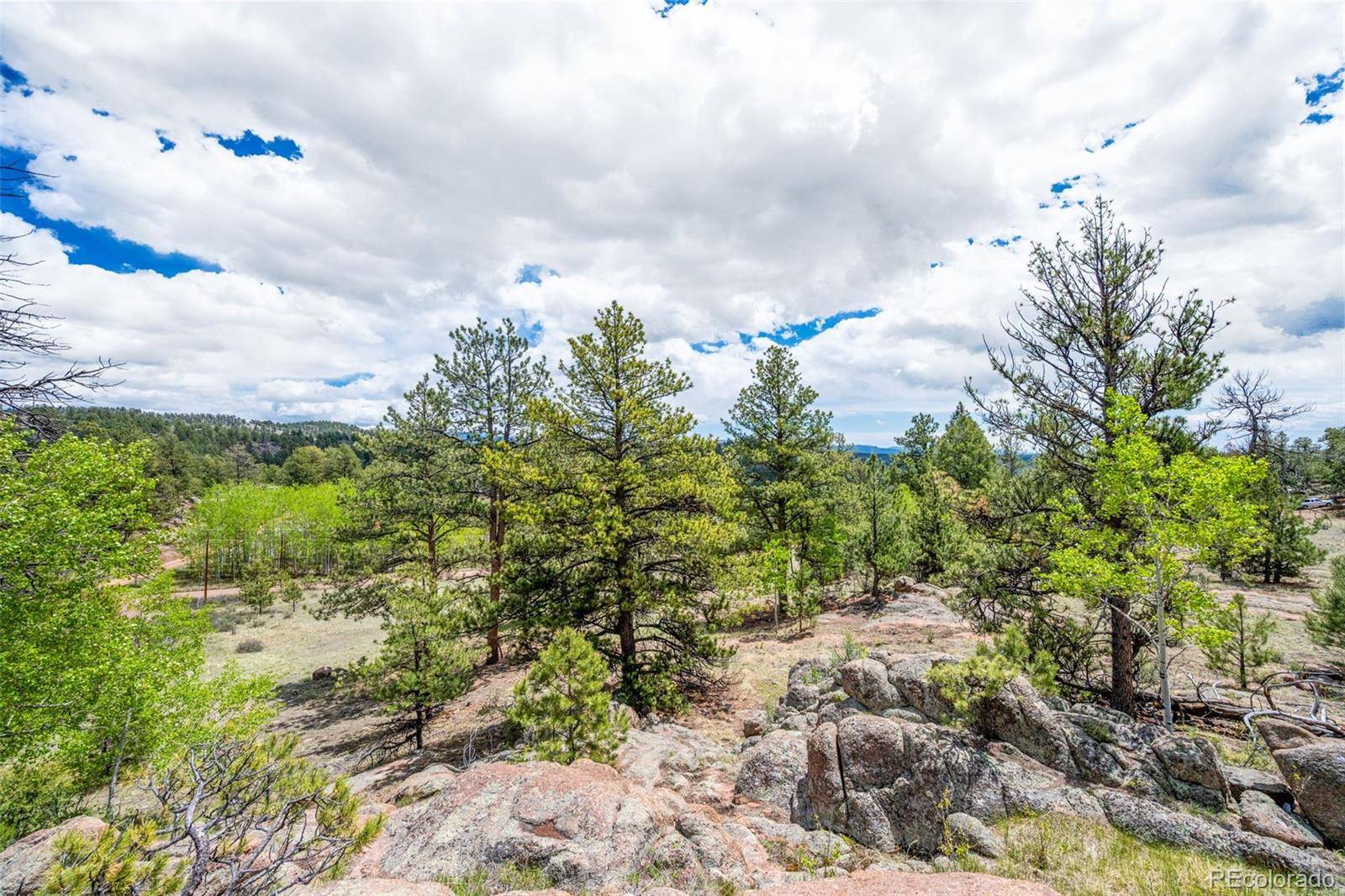 527 Plateau DR, Guffey, CO 80820