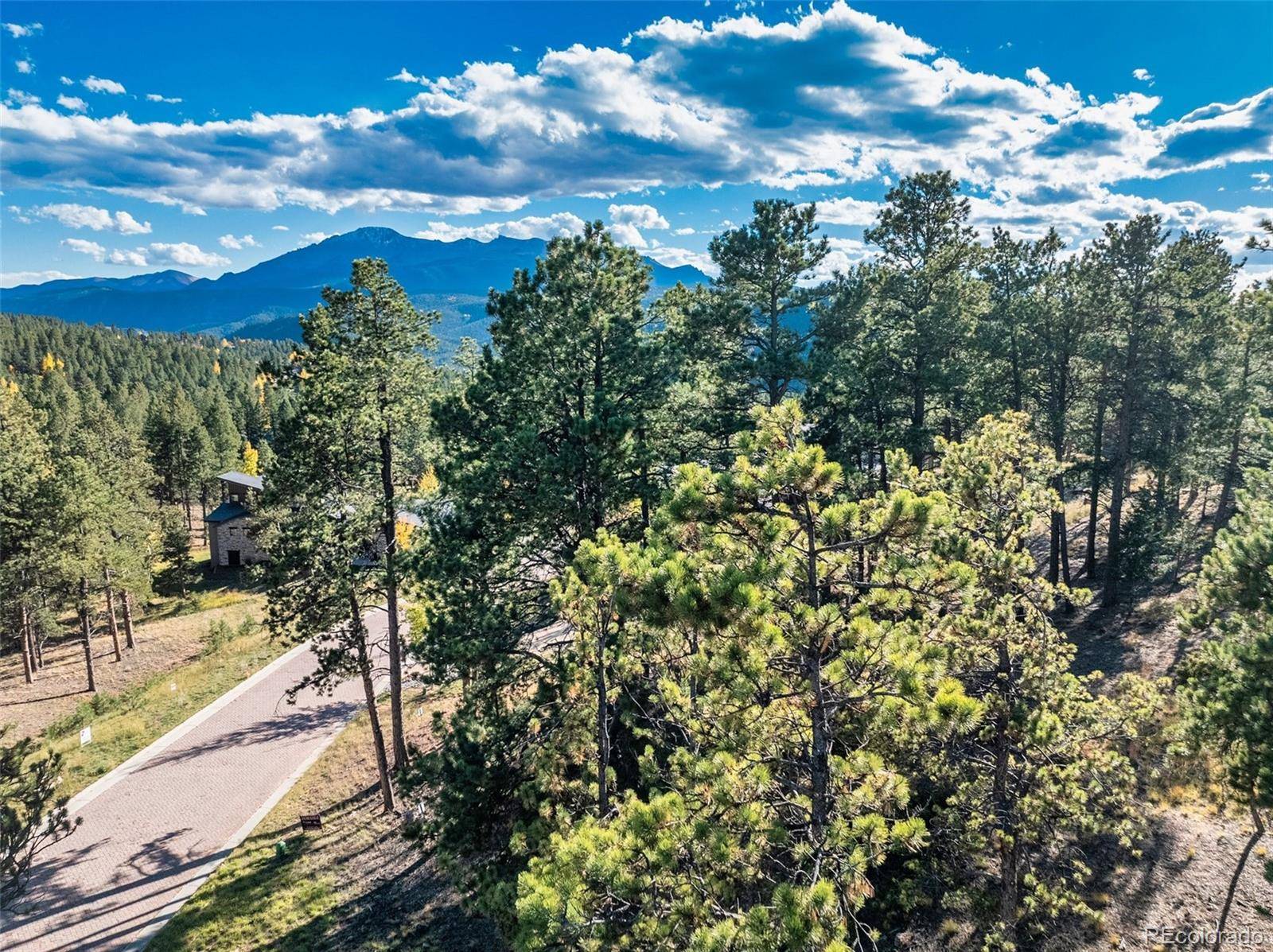 270 Thunder Ridge DR, Woodland Park, CO 80863