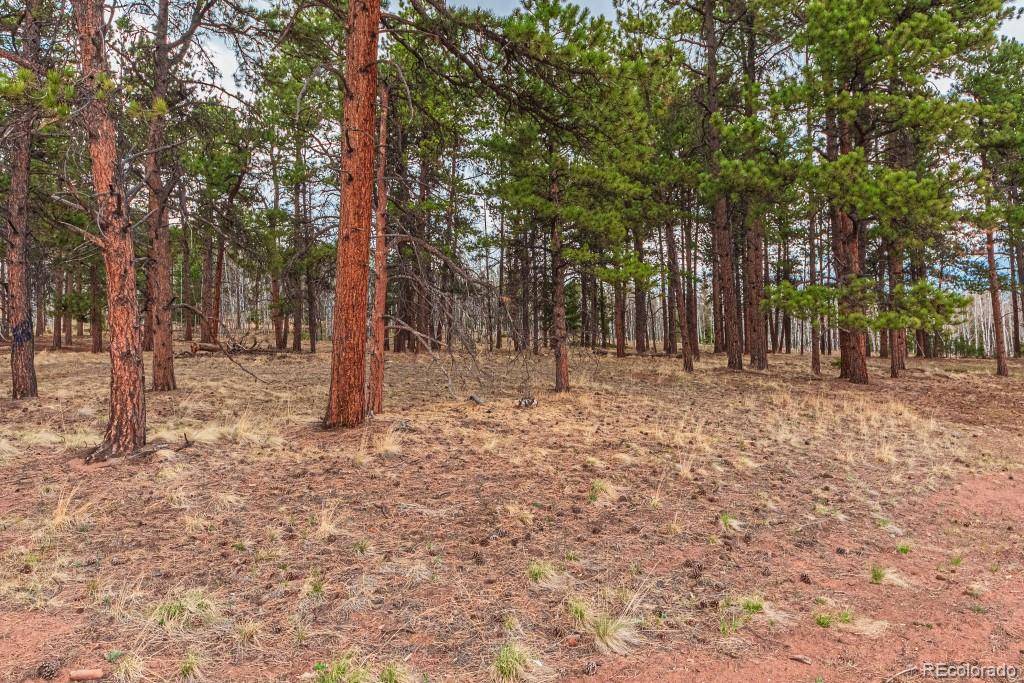 1290 Firestone DR, Woodland Park, CO 80863