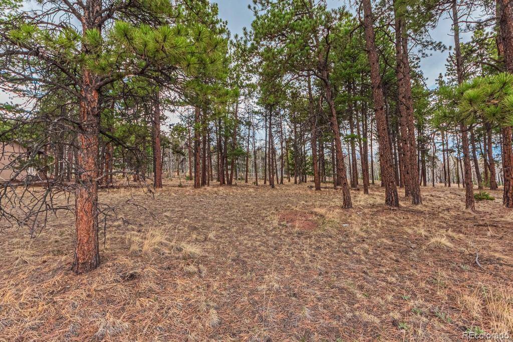 1290 Firestone DR, Woodland Park, CO 80863
