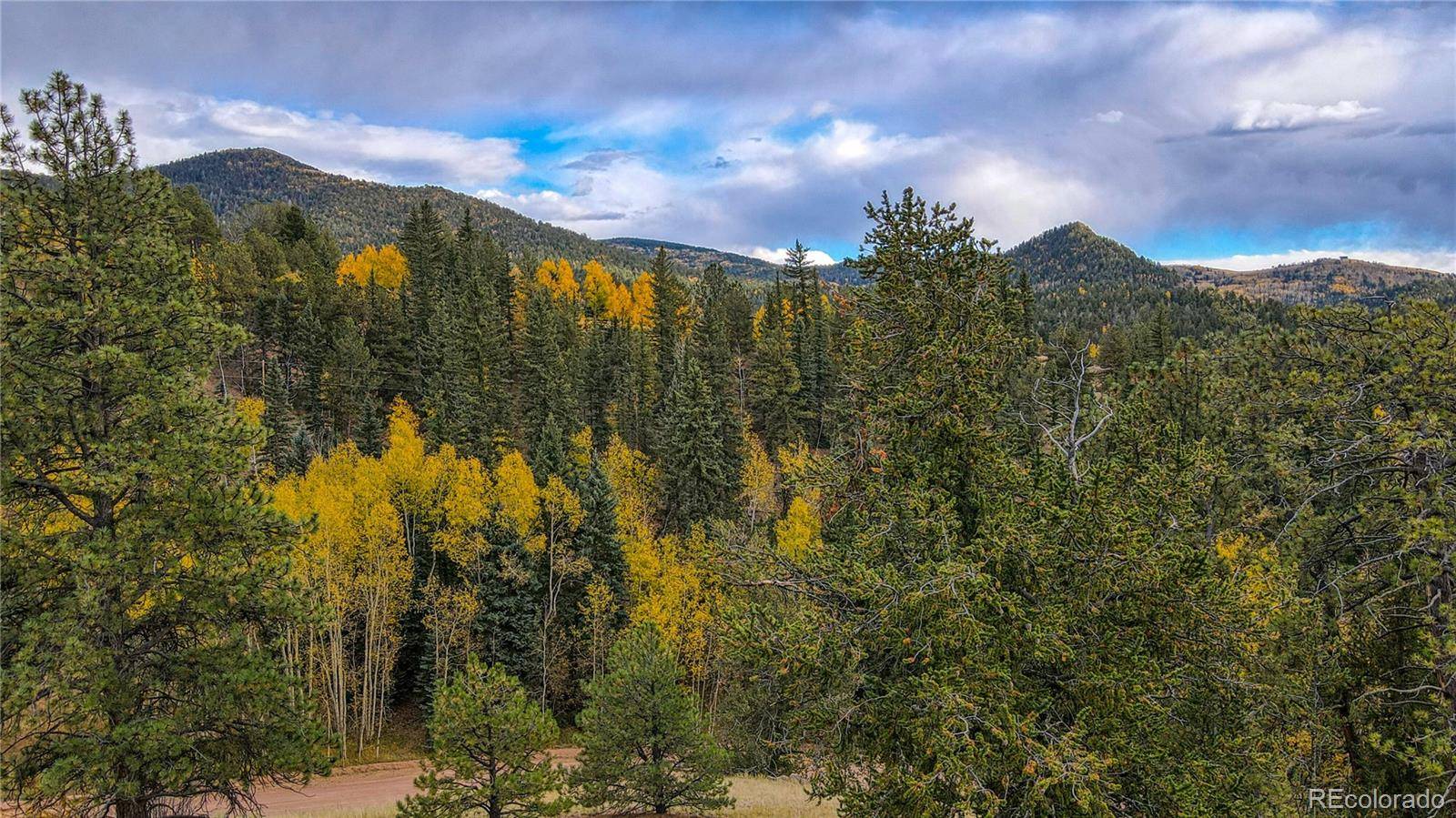 65 Portland DR, Cripple Creek, CO 80813