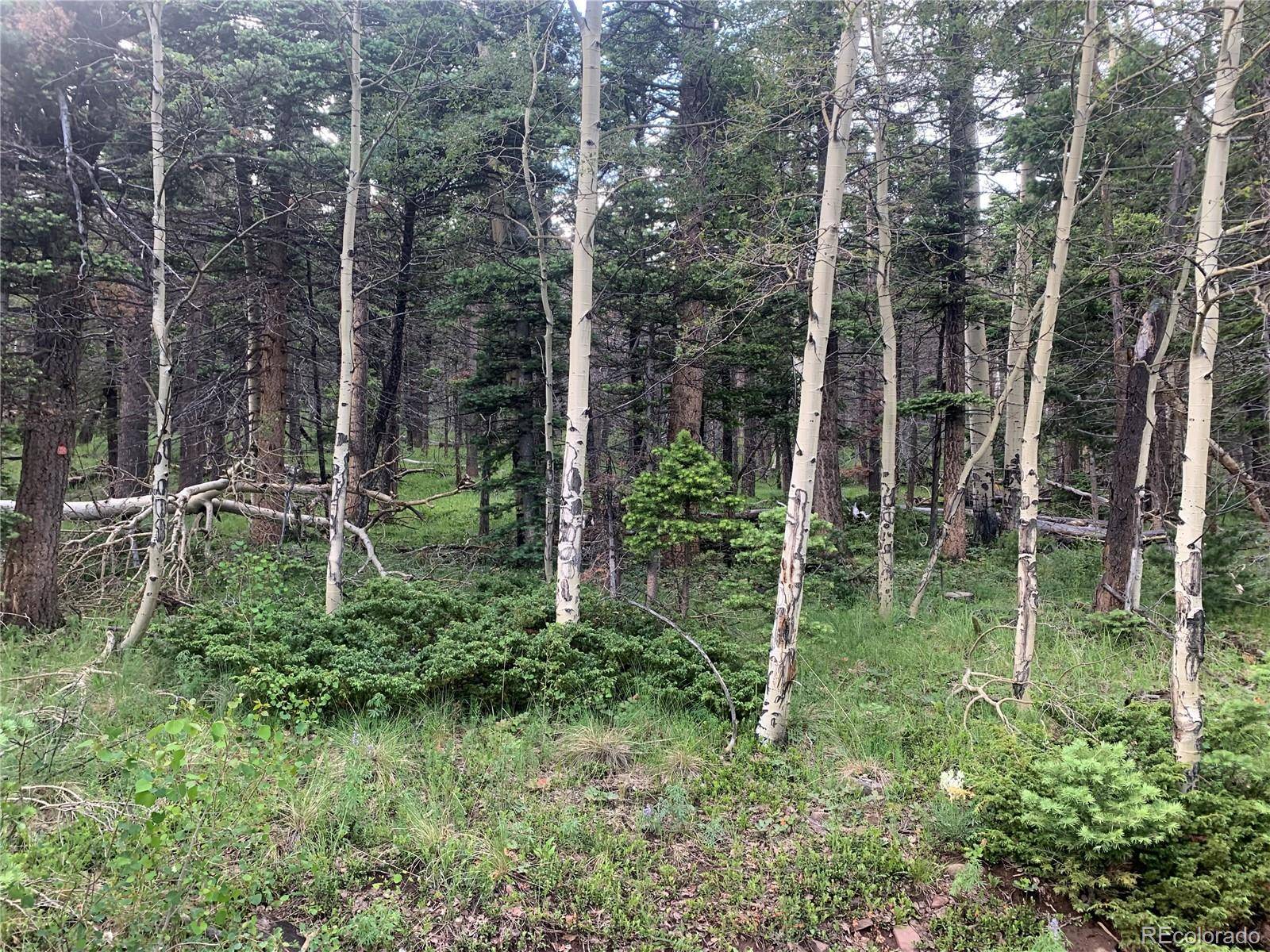 2952 LARRY PL, Fort Garland, CO 81133