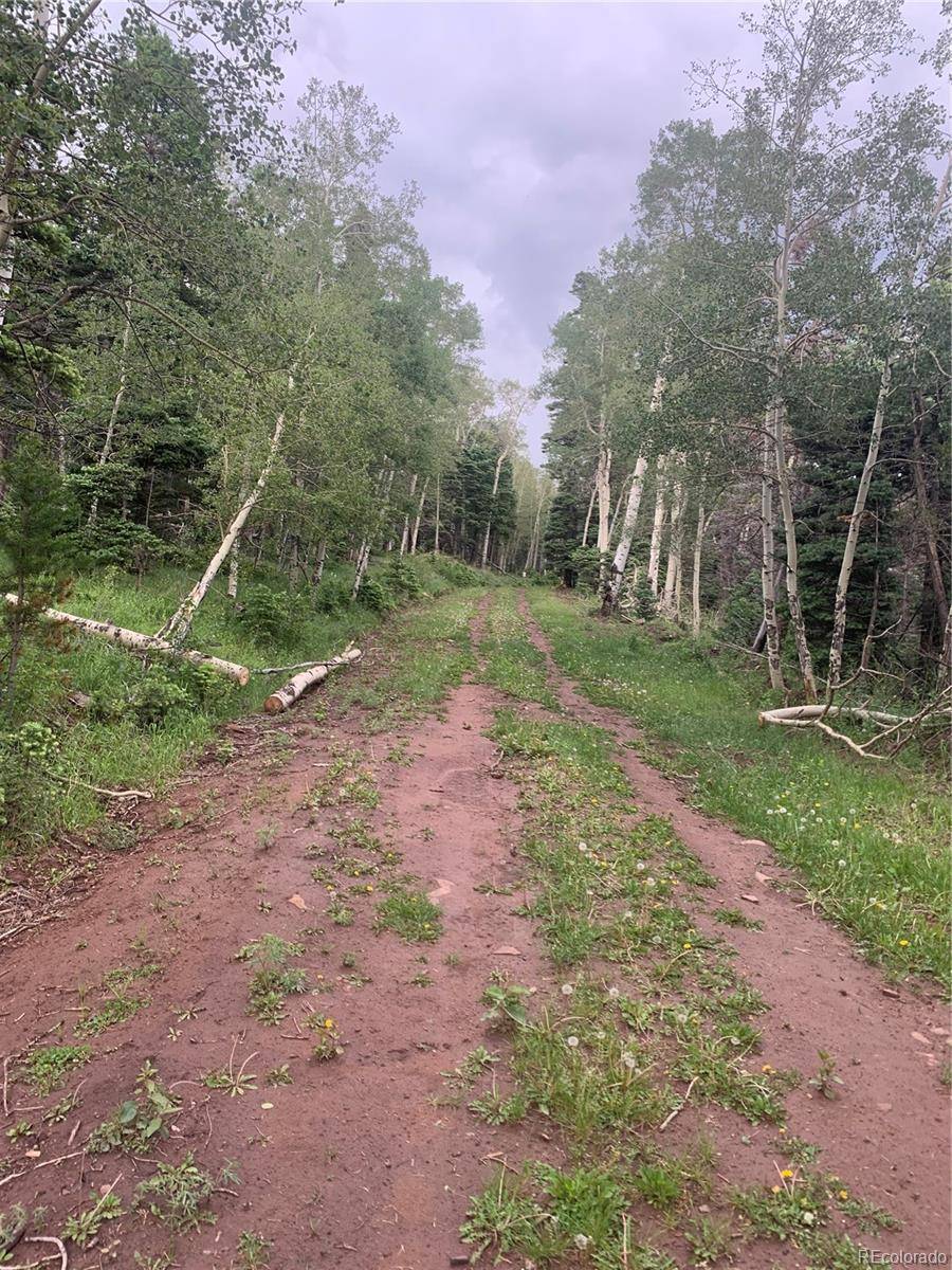 2952 LARRY PL, Fort Garland, CO 81133