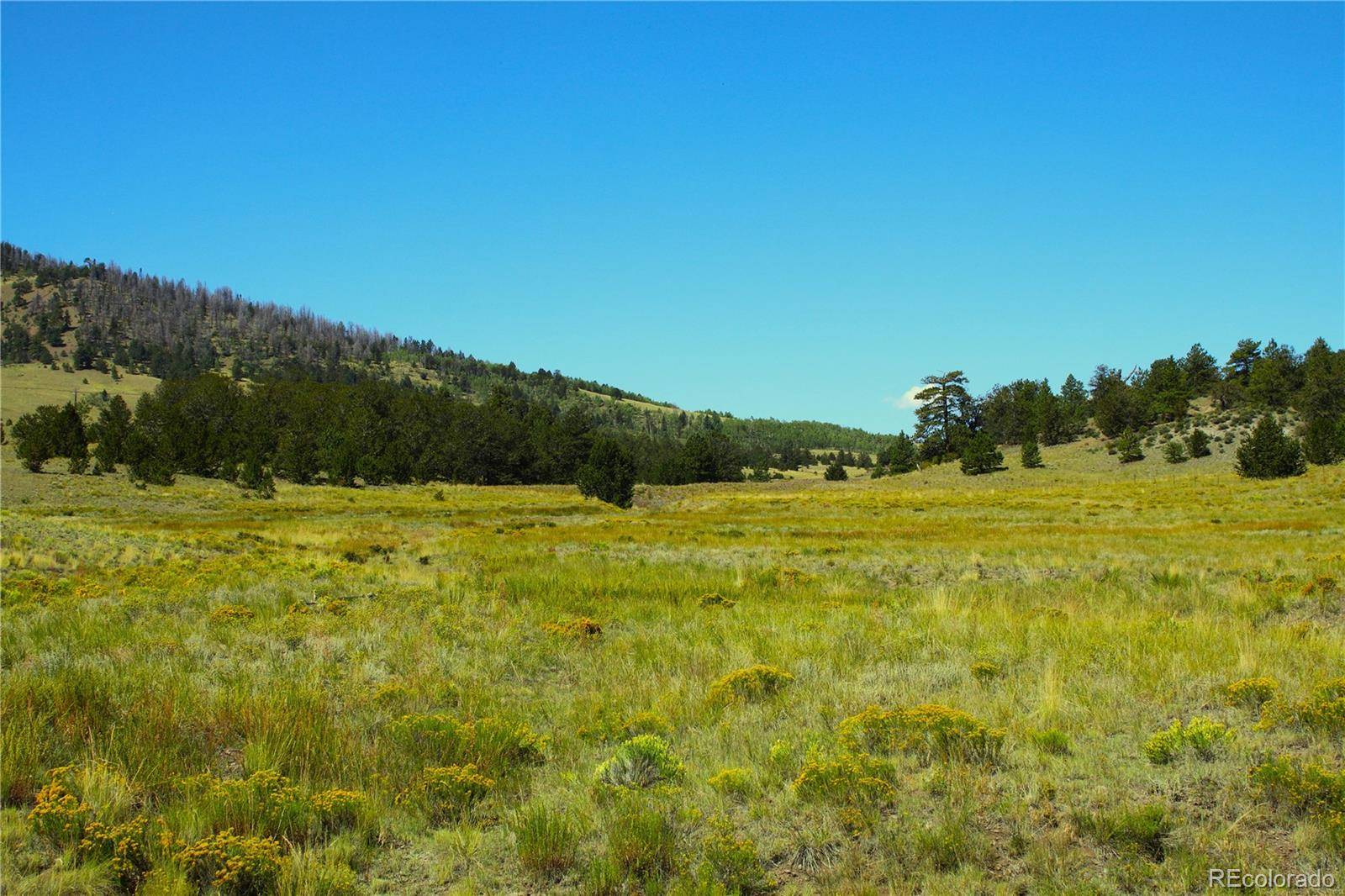 State 9 HWY, Guffey, CO 80820