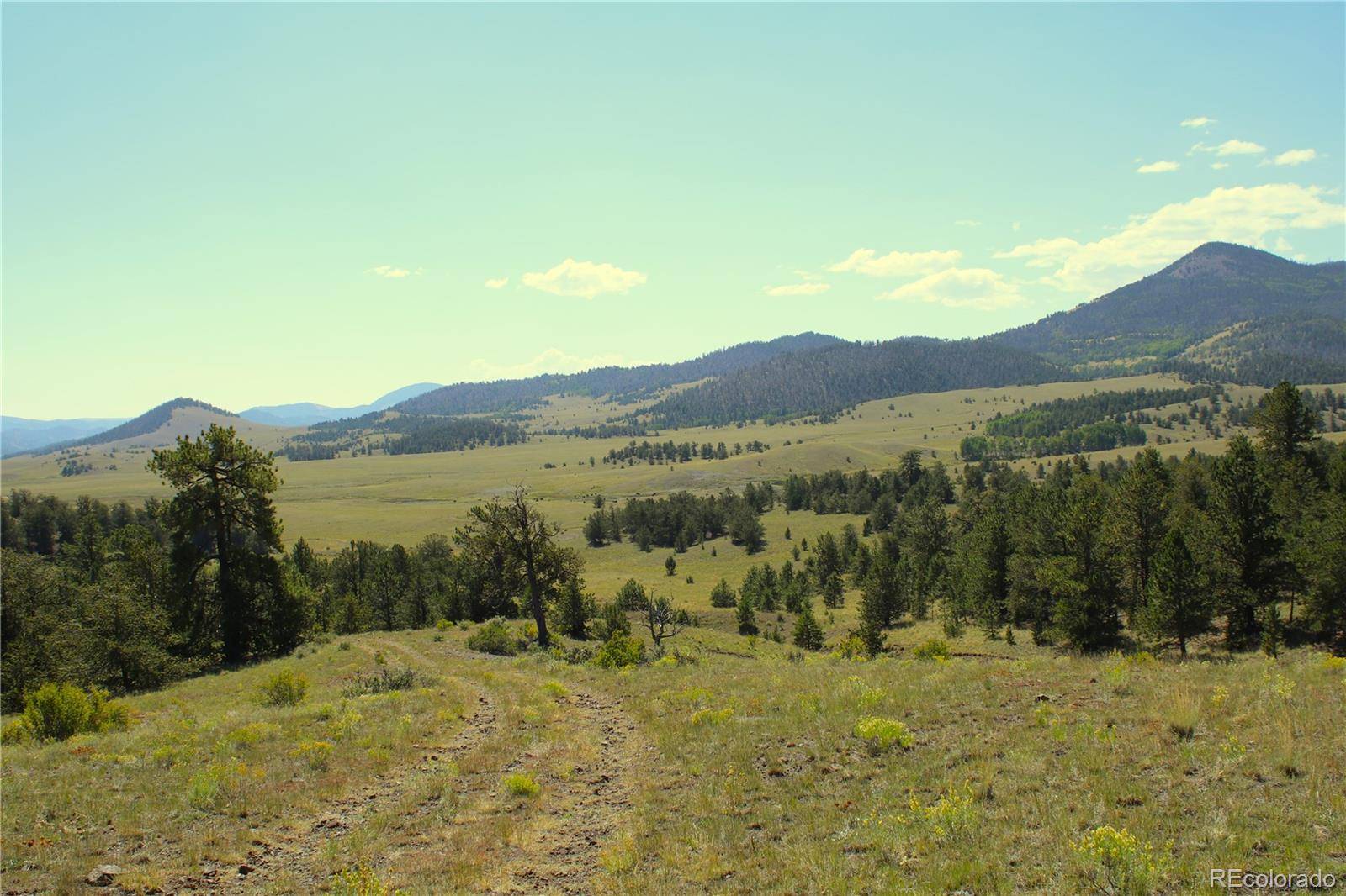 State 9 HWY, Guffey, CO 80820