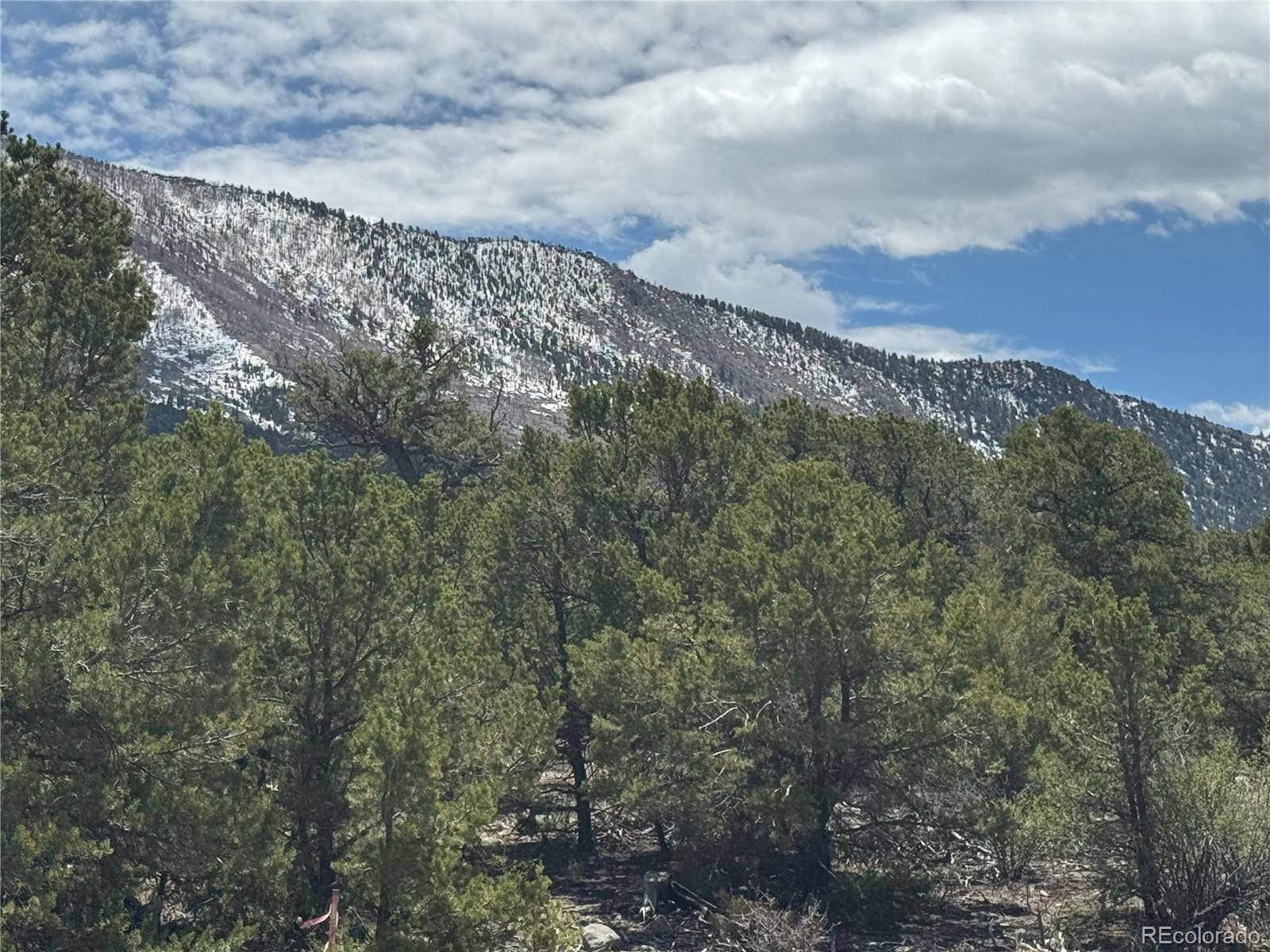 00103 Ute DR, Mosca, CO 81146