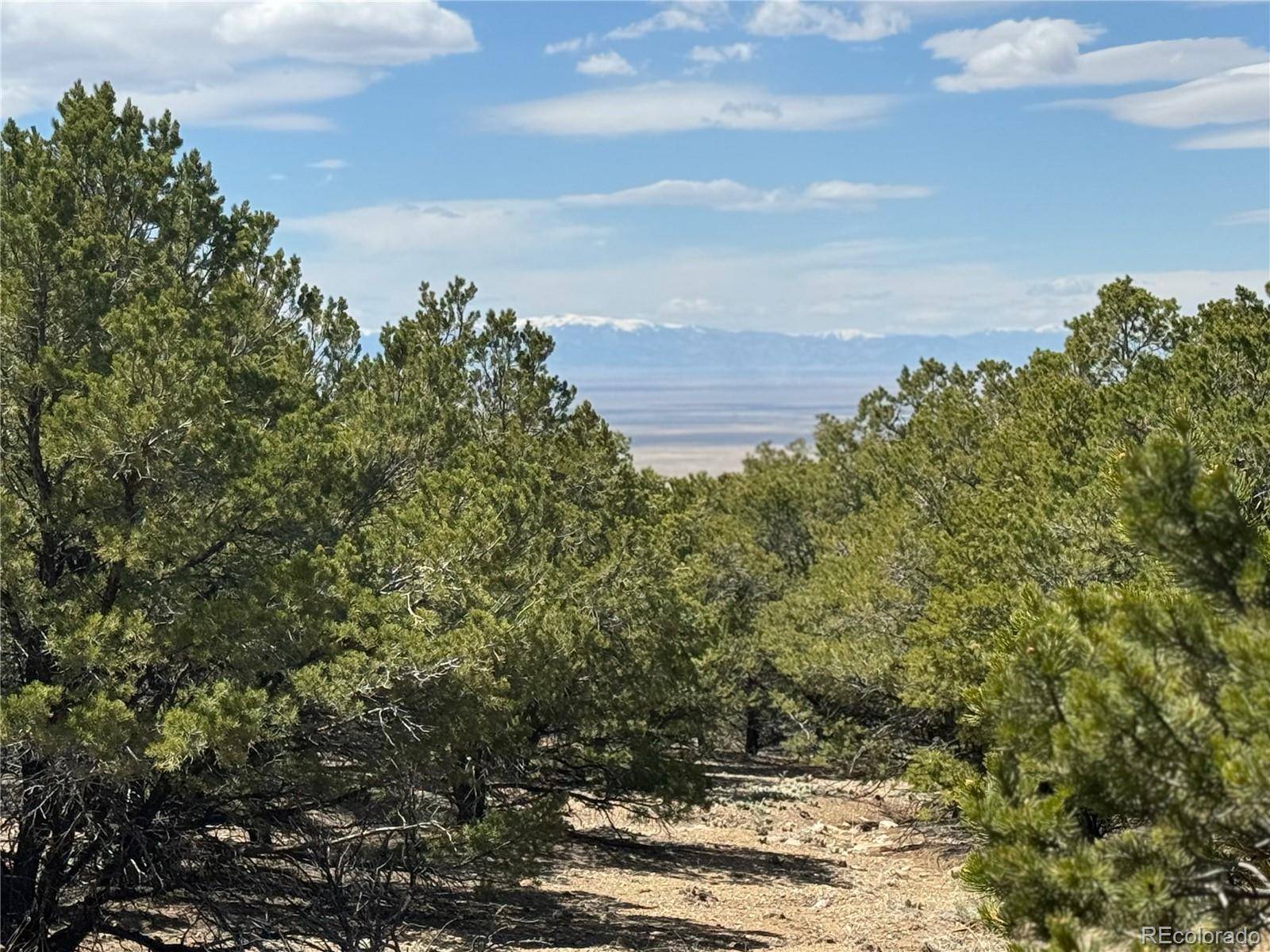 00103 Ute DR, Mosca, CO 81146