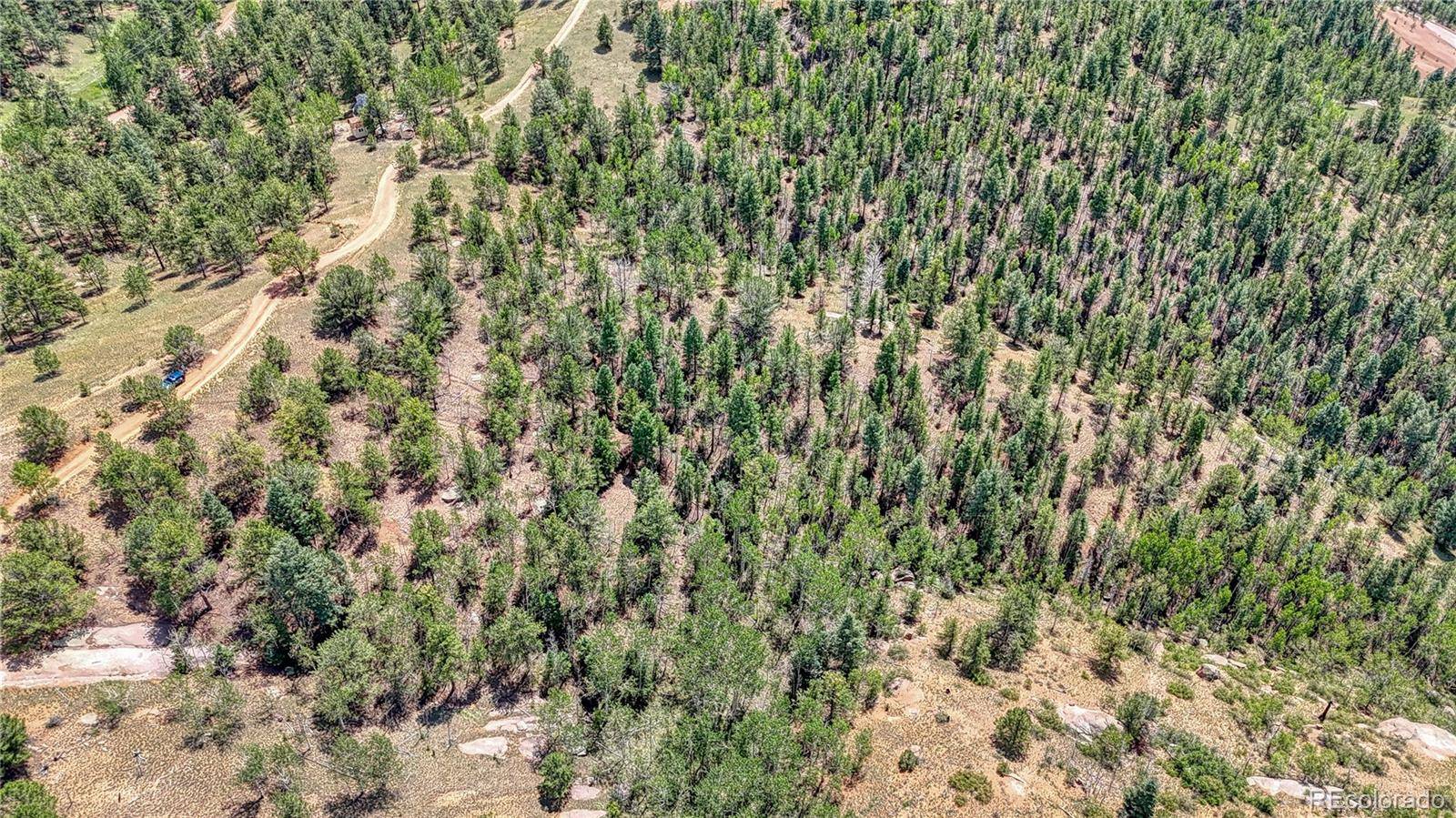 24 Wild Horse CIR, Cripple Creek, CO 80813