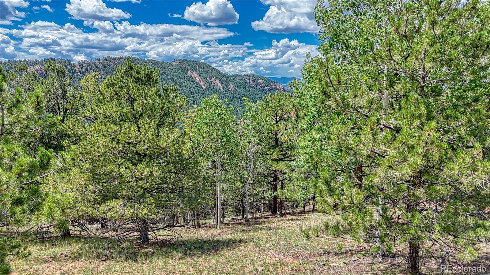 24 Wild Horse CIR, Cripple Creek, CO 80813