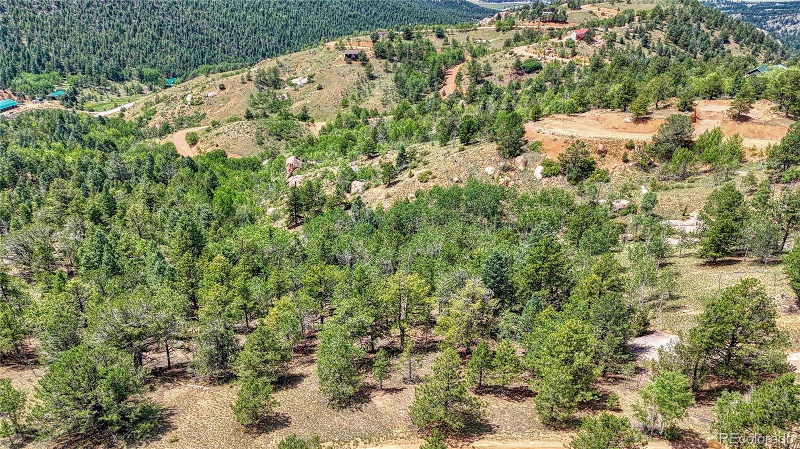 24 Wild Horse CIR, Cripple Creek, CO 80813