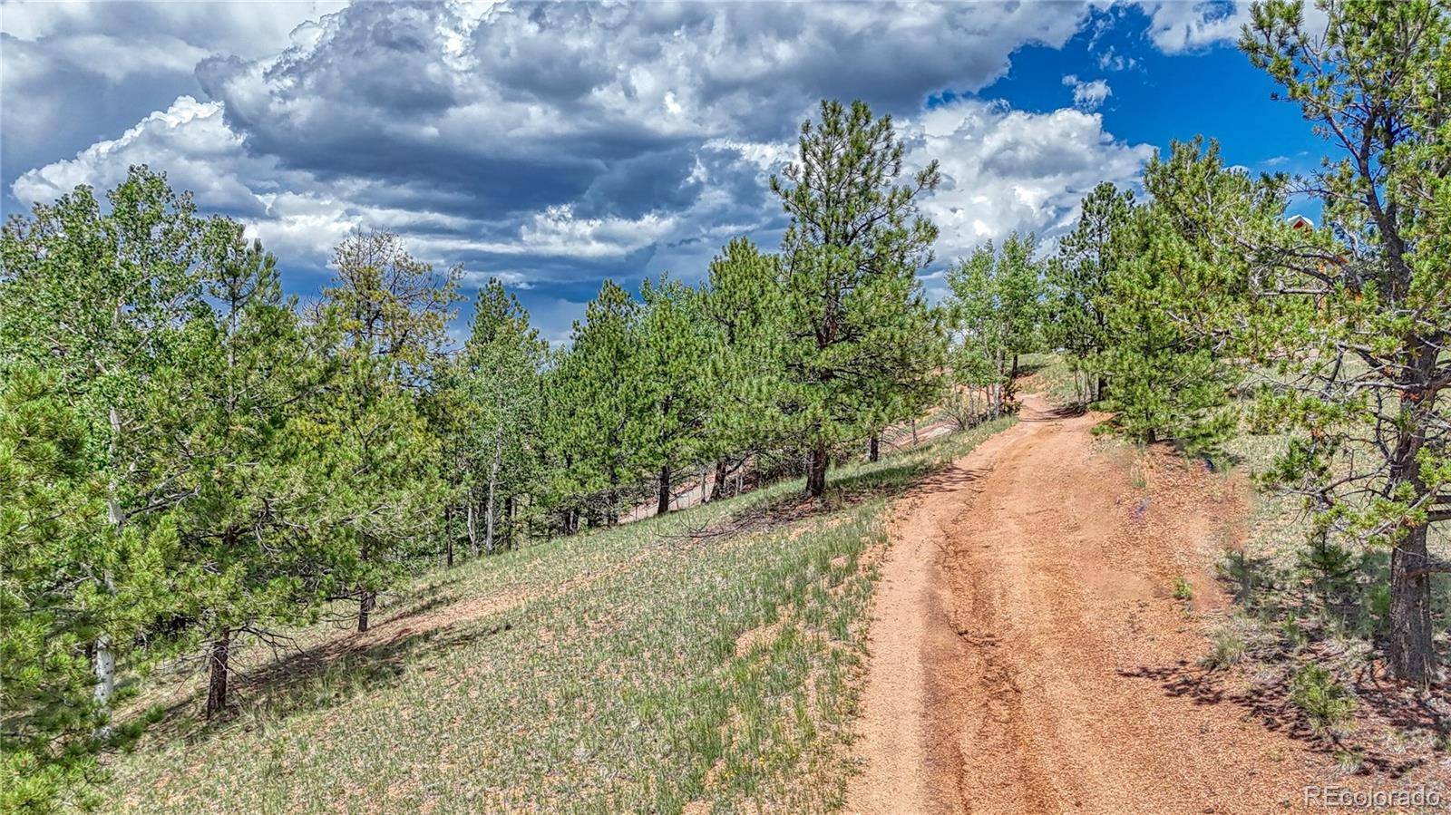 24 Wild Horse CIR, Cripple Creek, CO 80813