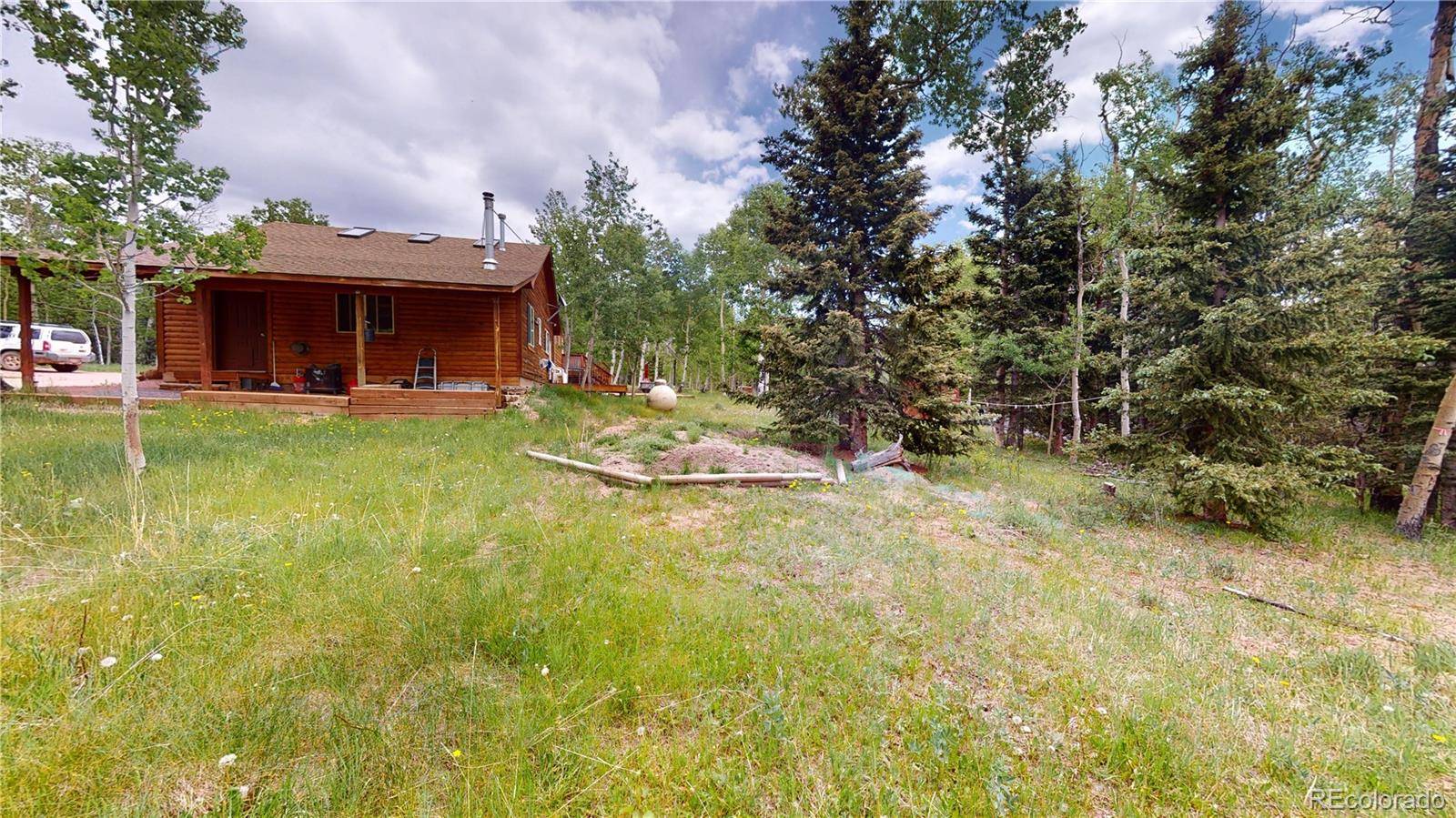 1011 Castle Ridge VW, Cripple Creek, CO 80813