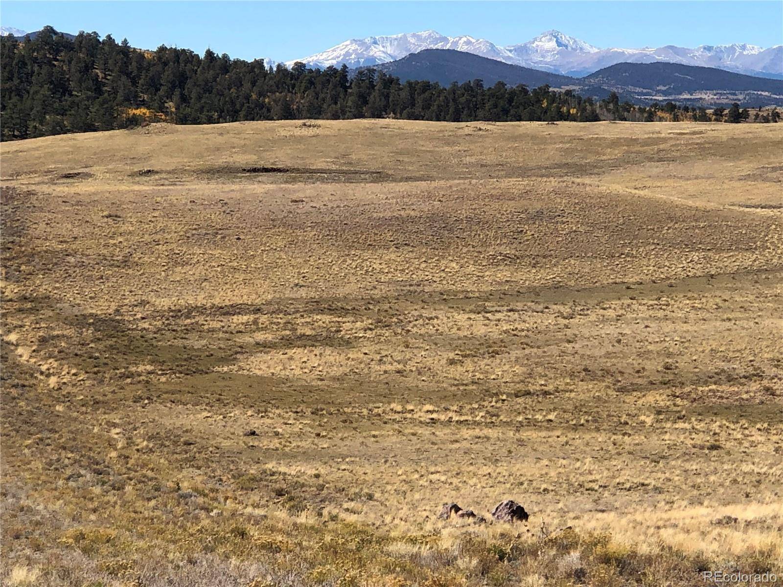 3036 Jumano TRL, Hartsel, CO 80449