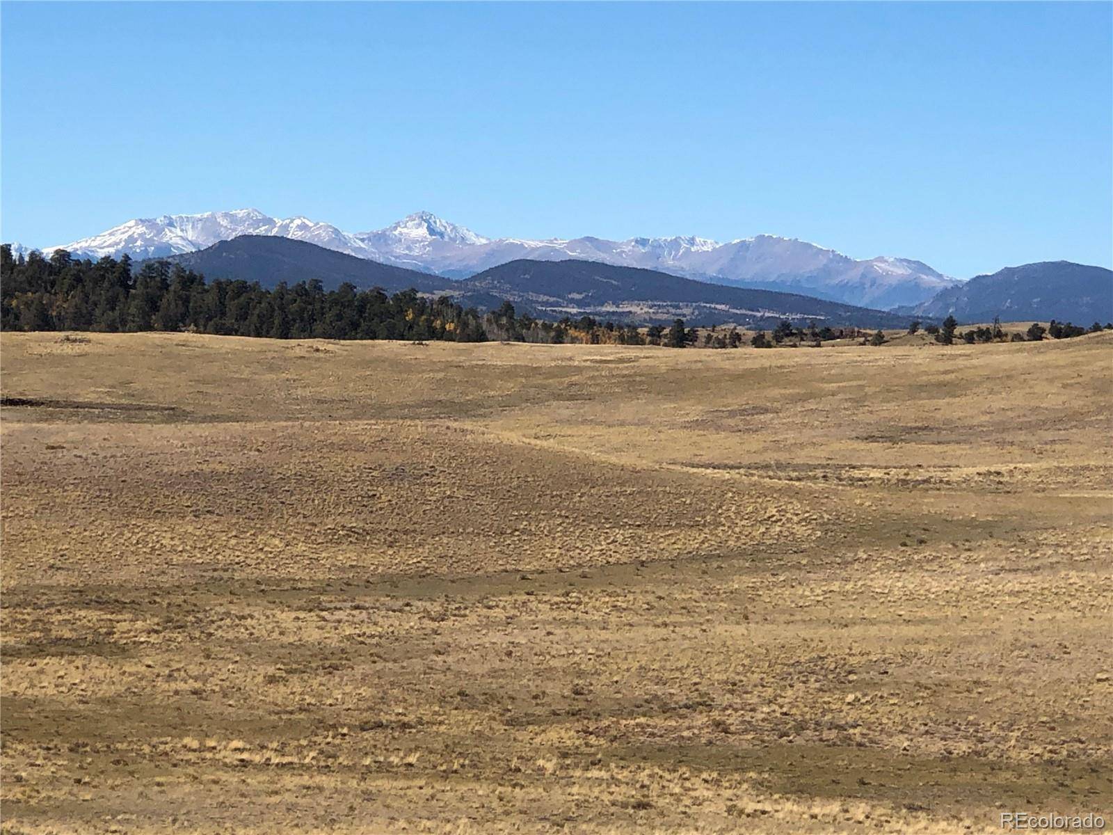 3036 Jumano TRL, Hartsel, CO 80449