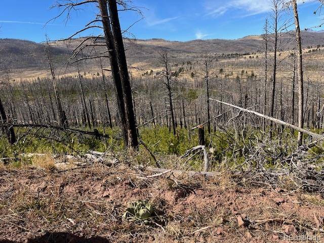 Lot 1741 Mathlide PL, Fort Garland, CO 81133