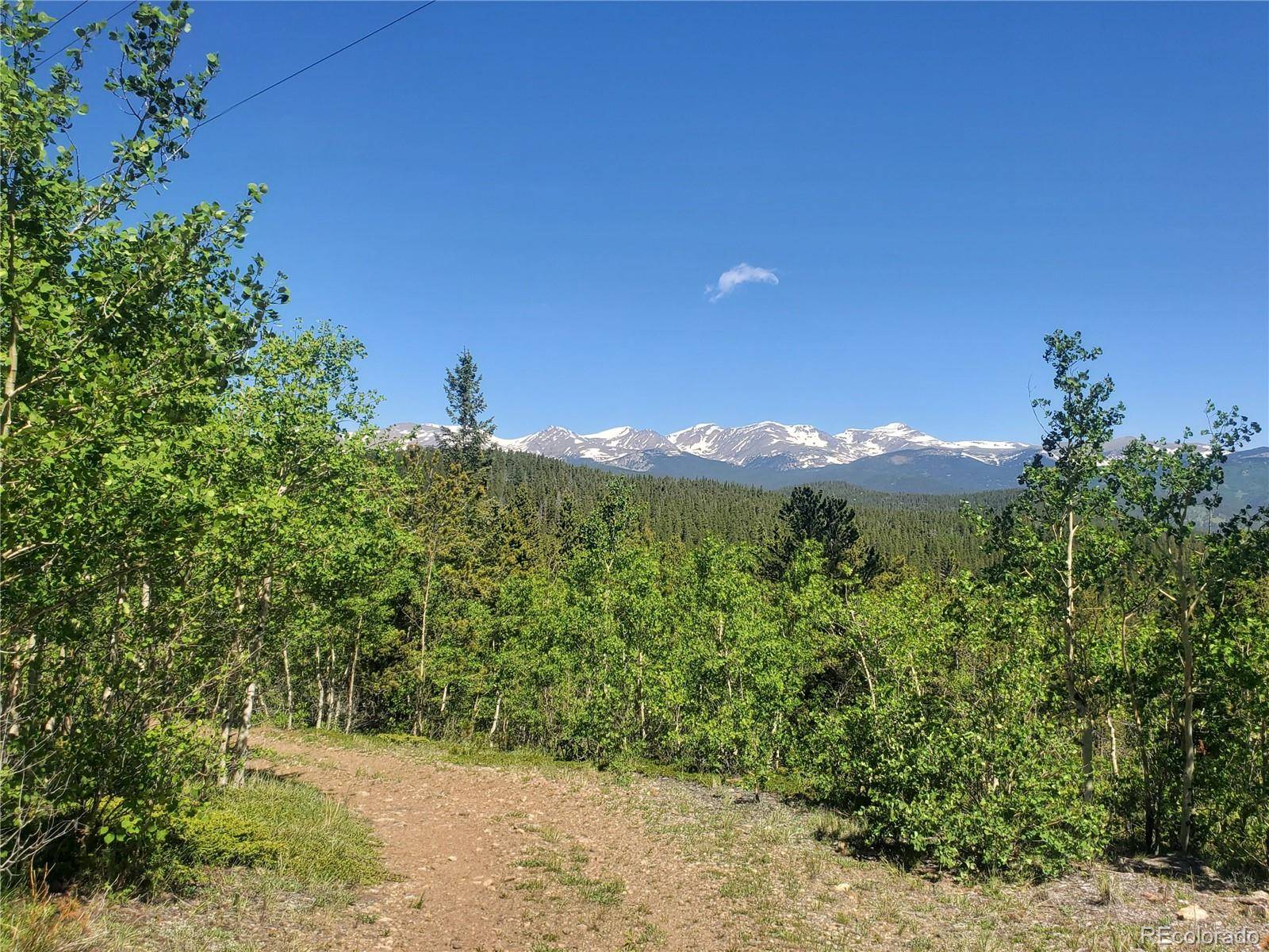 01 S Spring Gulch RD, Idaho Springs, CO 80452