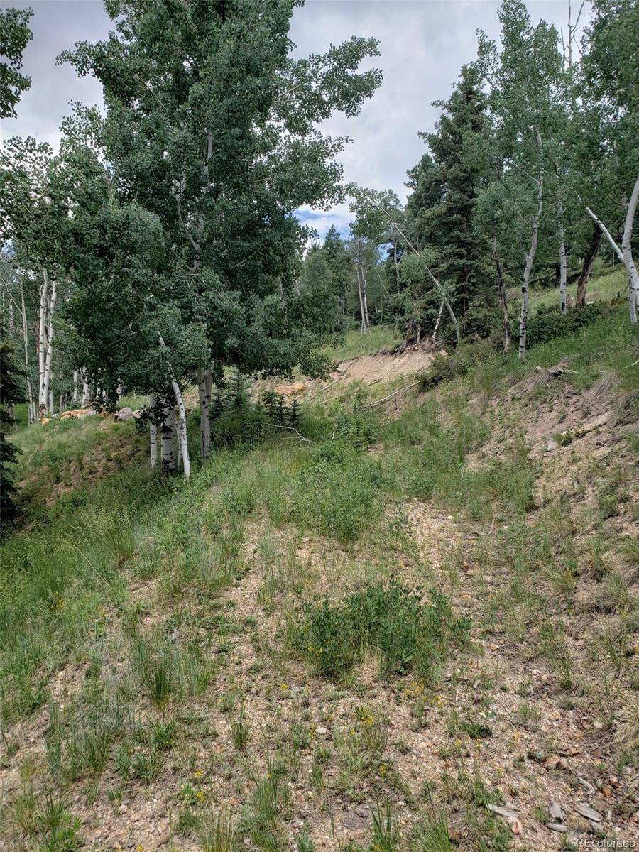10th ST, Jasper, CO 81144
