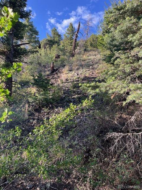 Lot 5693 Balleroy RD, San Luis, CO 81152